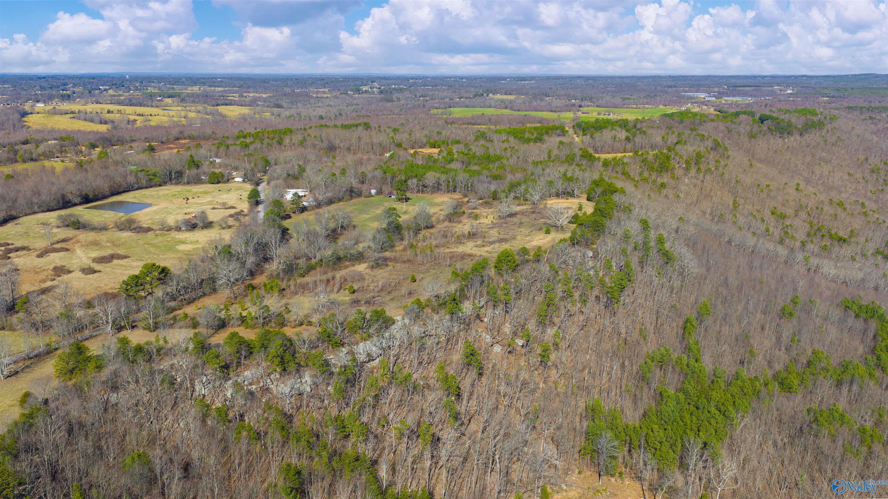 Lot 1 County Road 730