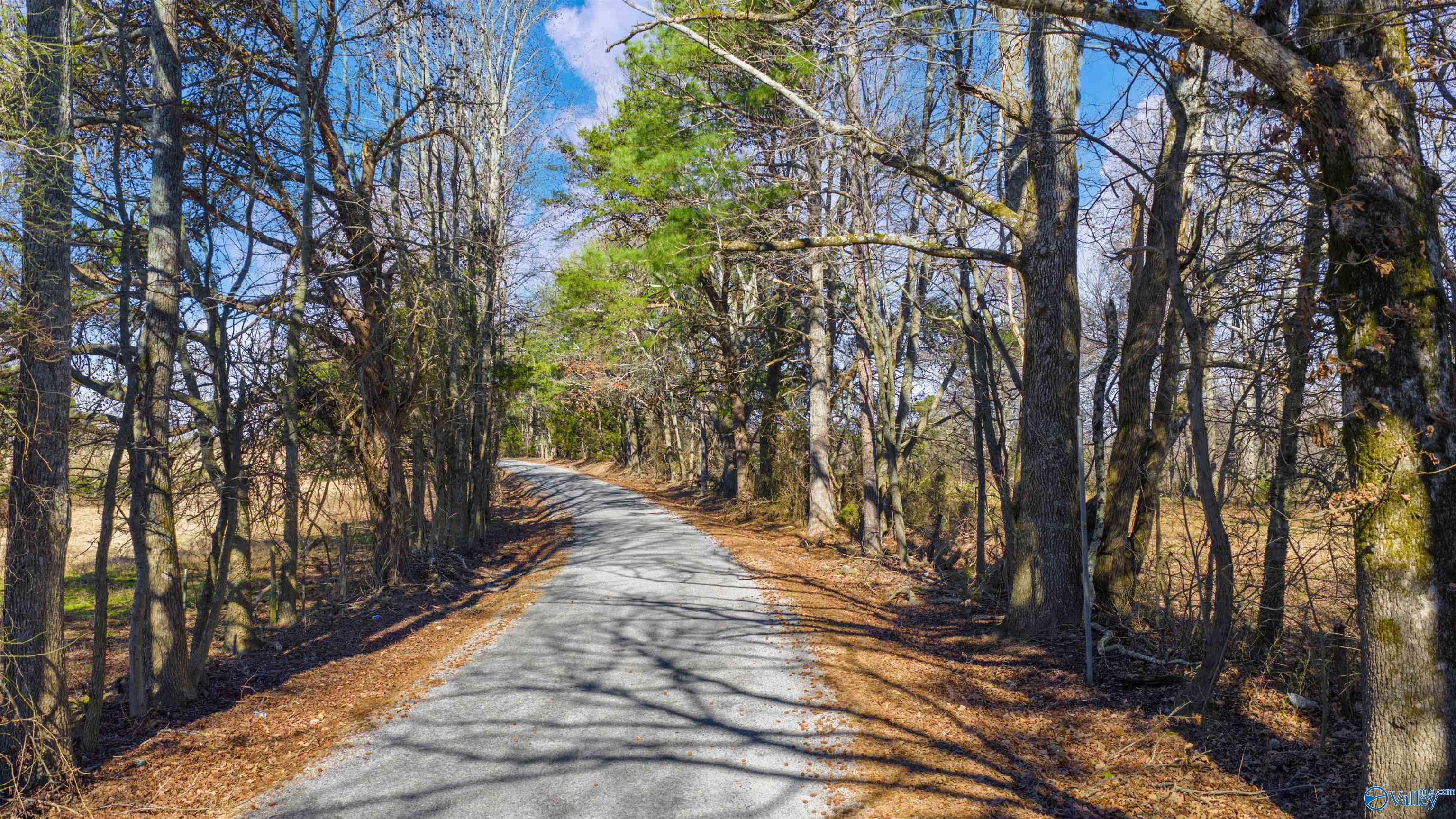 Lot 1 County Road 730