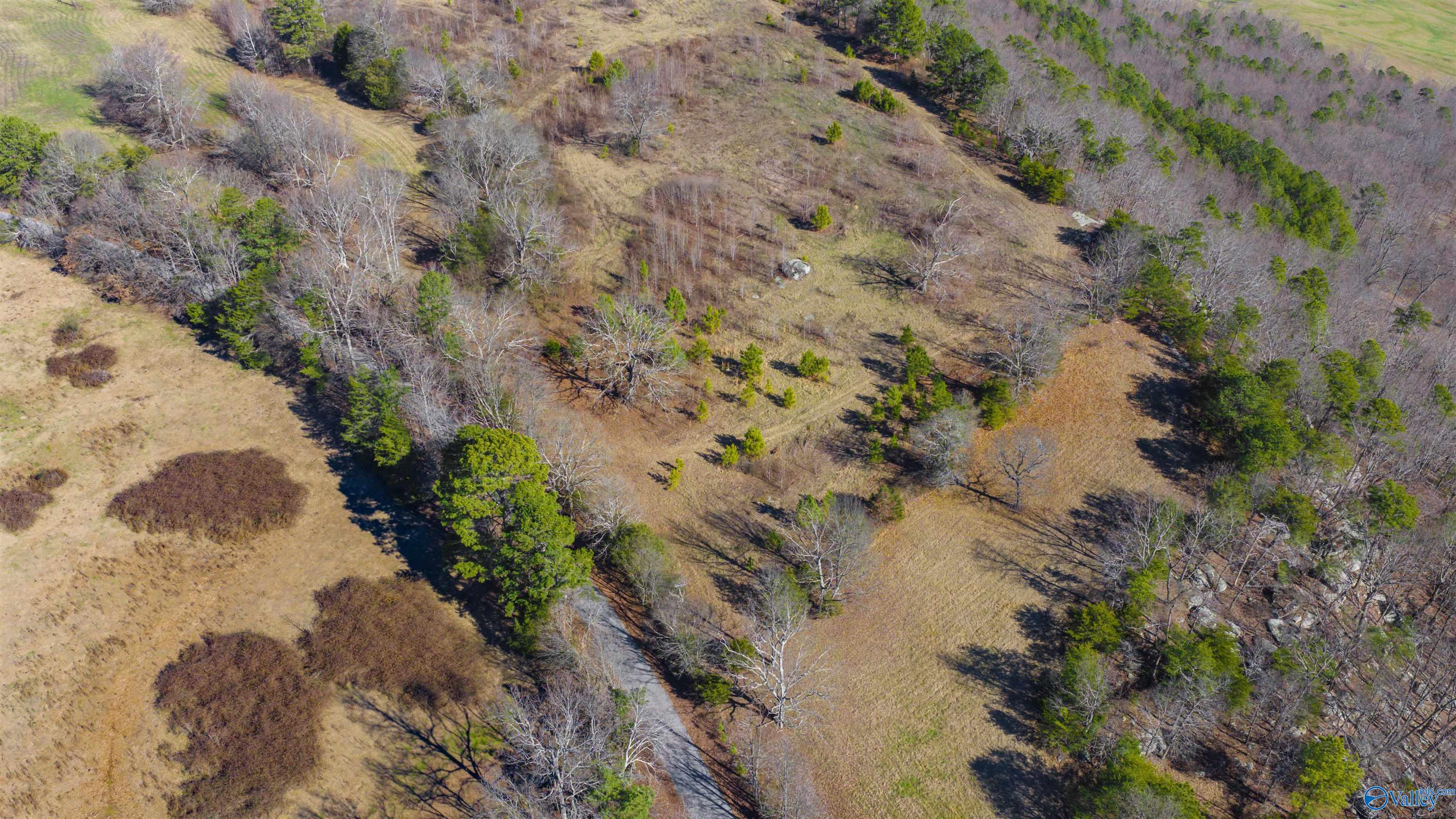 Lot 1 County Road 730