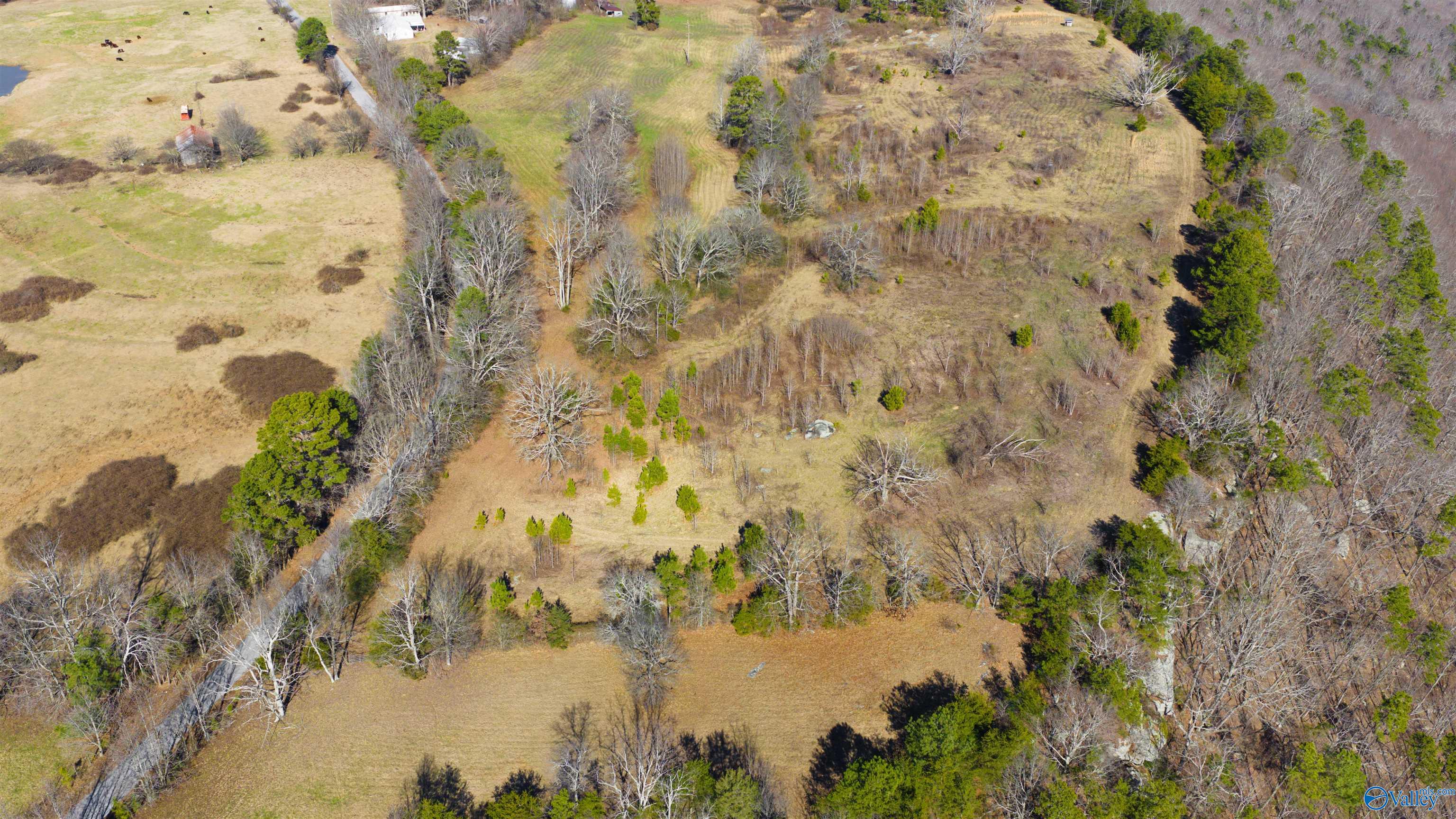 Lot 1 County Road 730