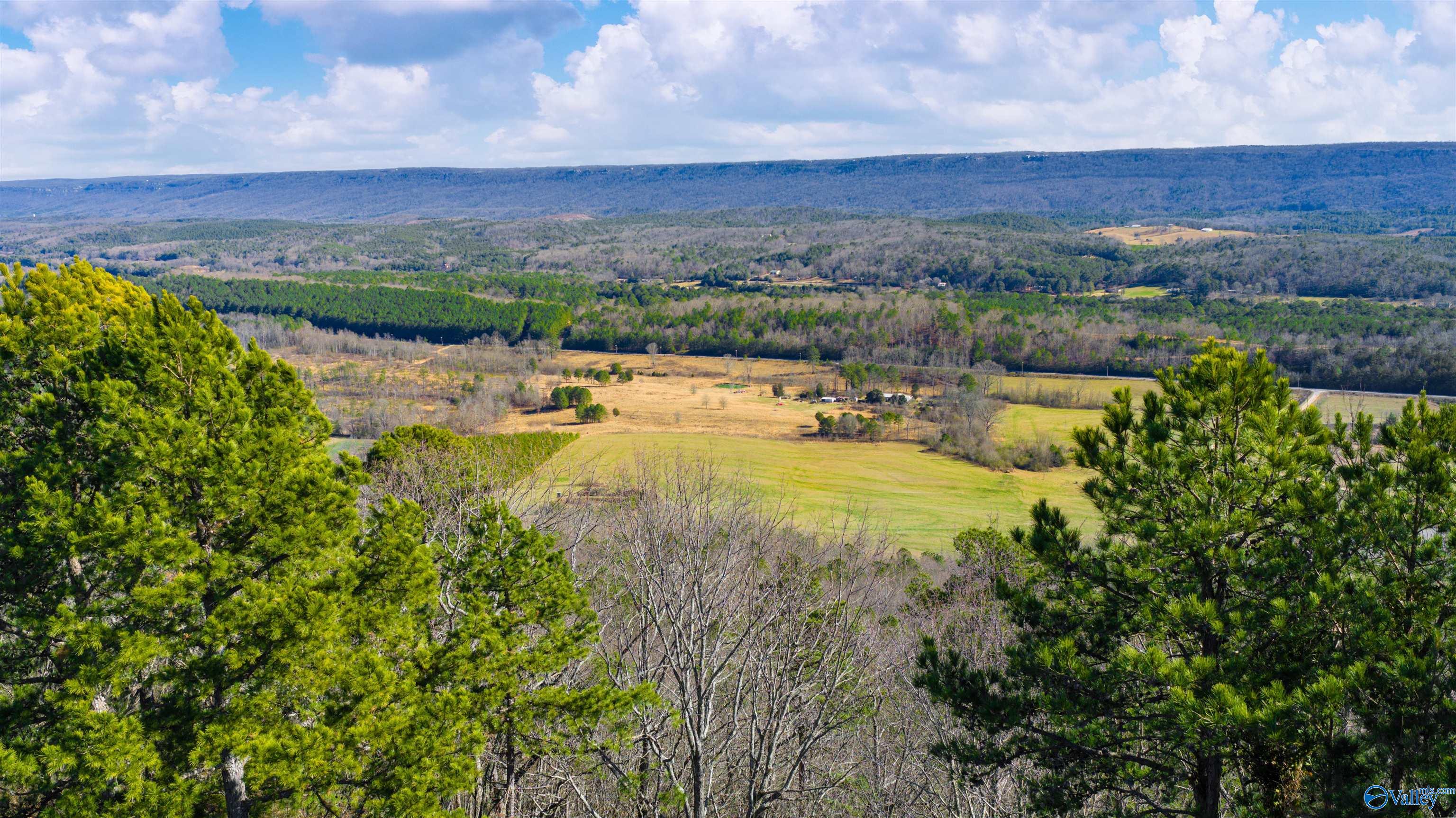 Lot 1 County Road 730