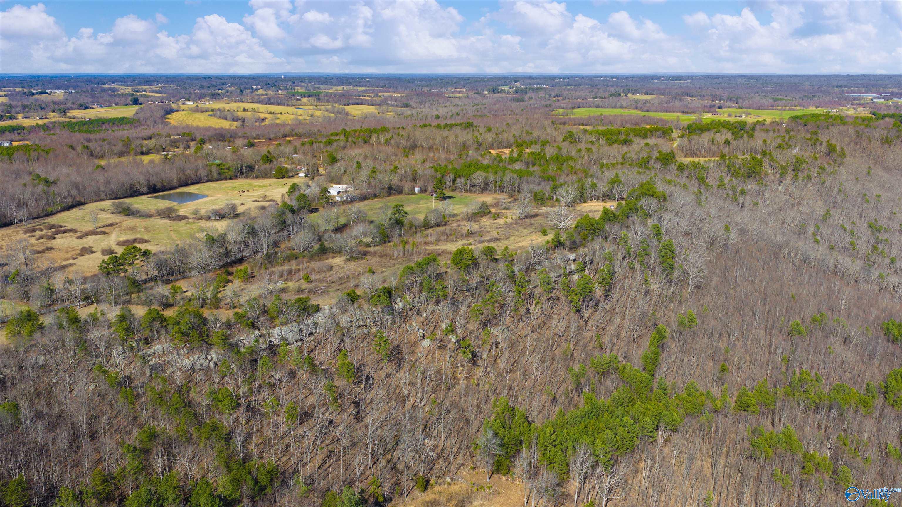 Lot 1 County Road 730