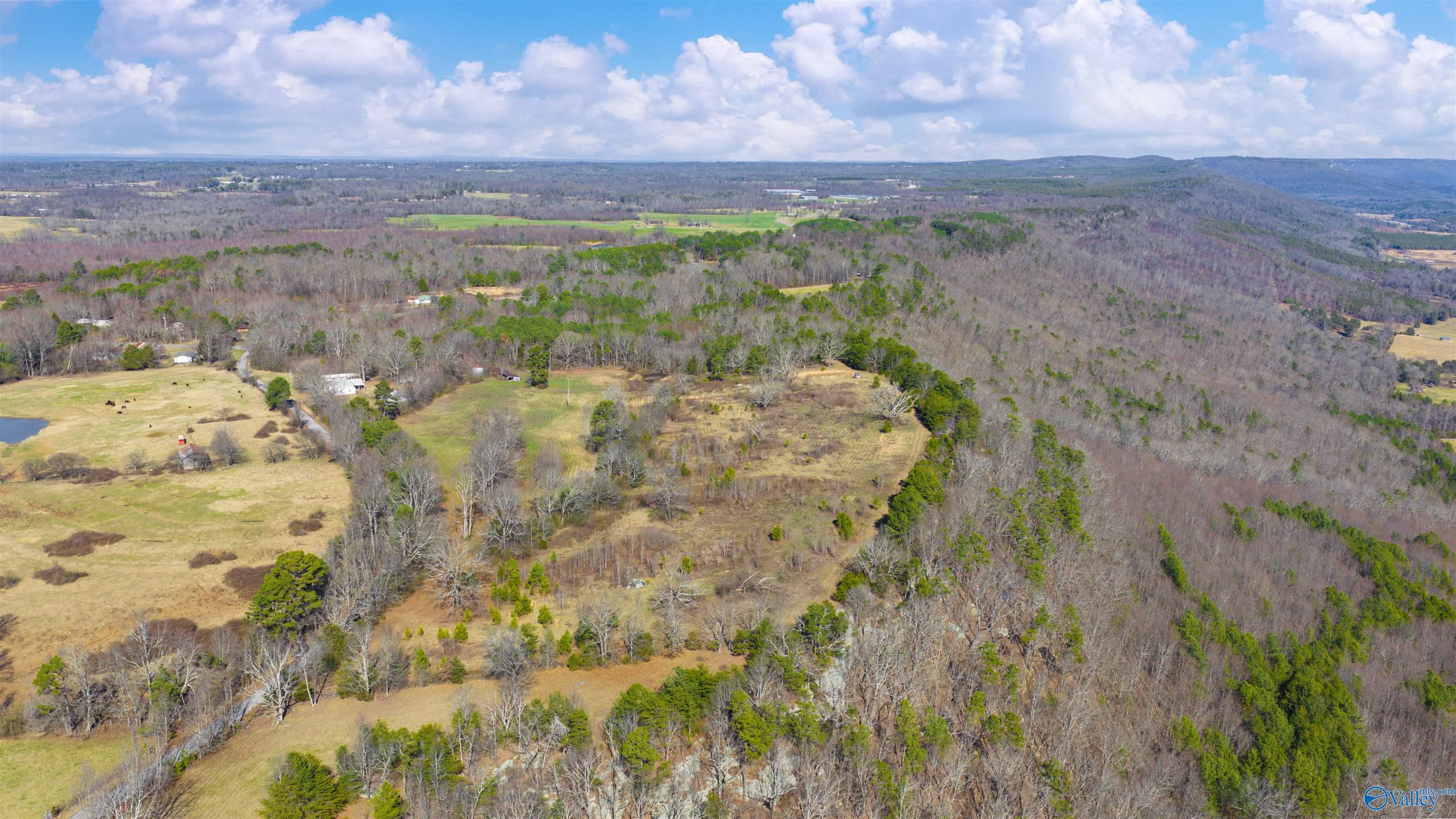 Lot 1 County Road 730