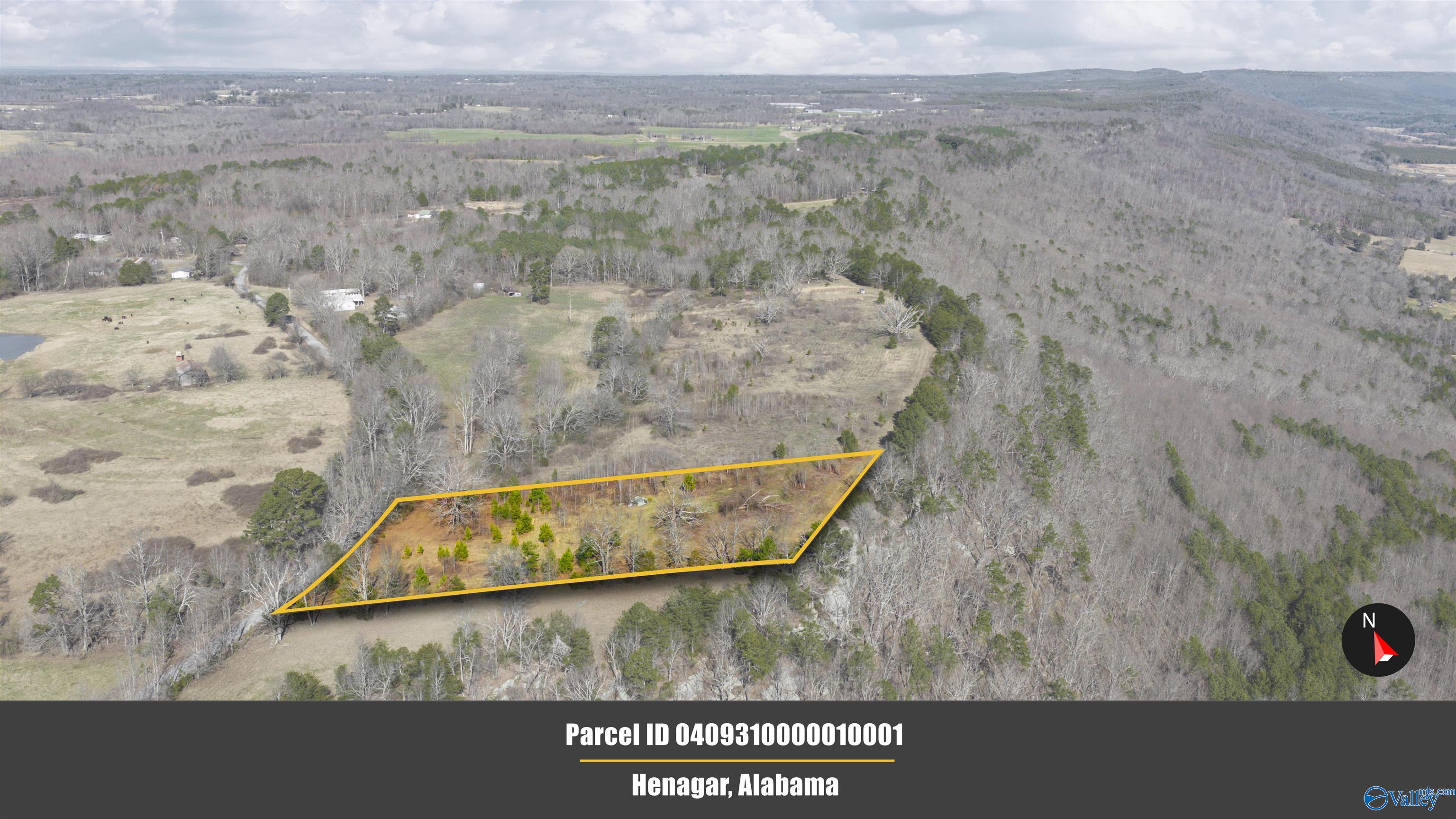 Lot 1 County Road 730