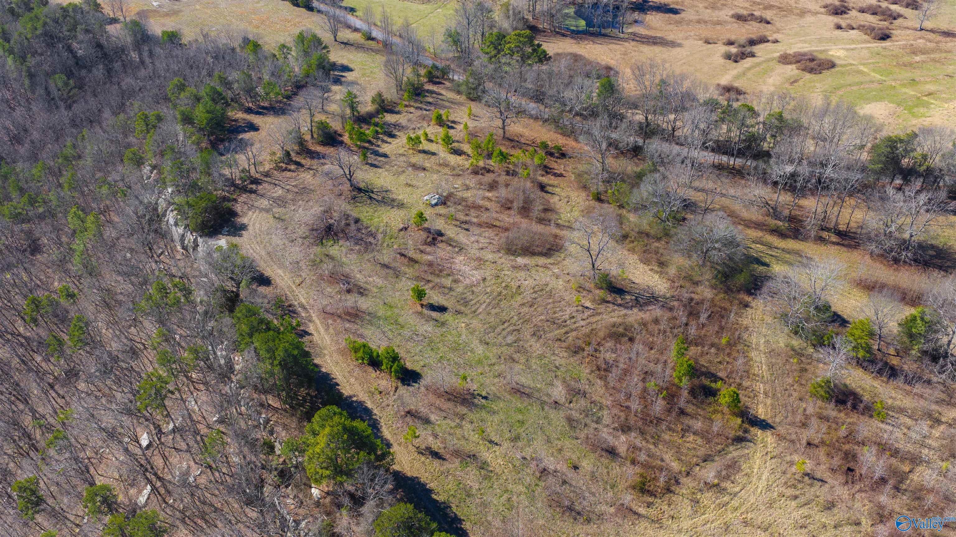 Lot 1 County Road 730