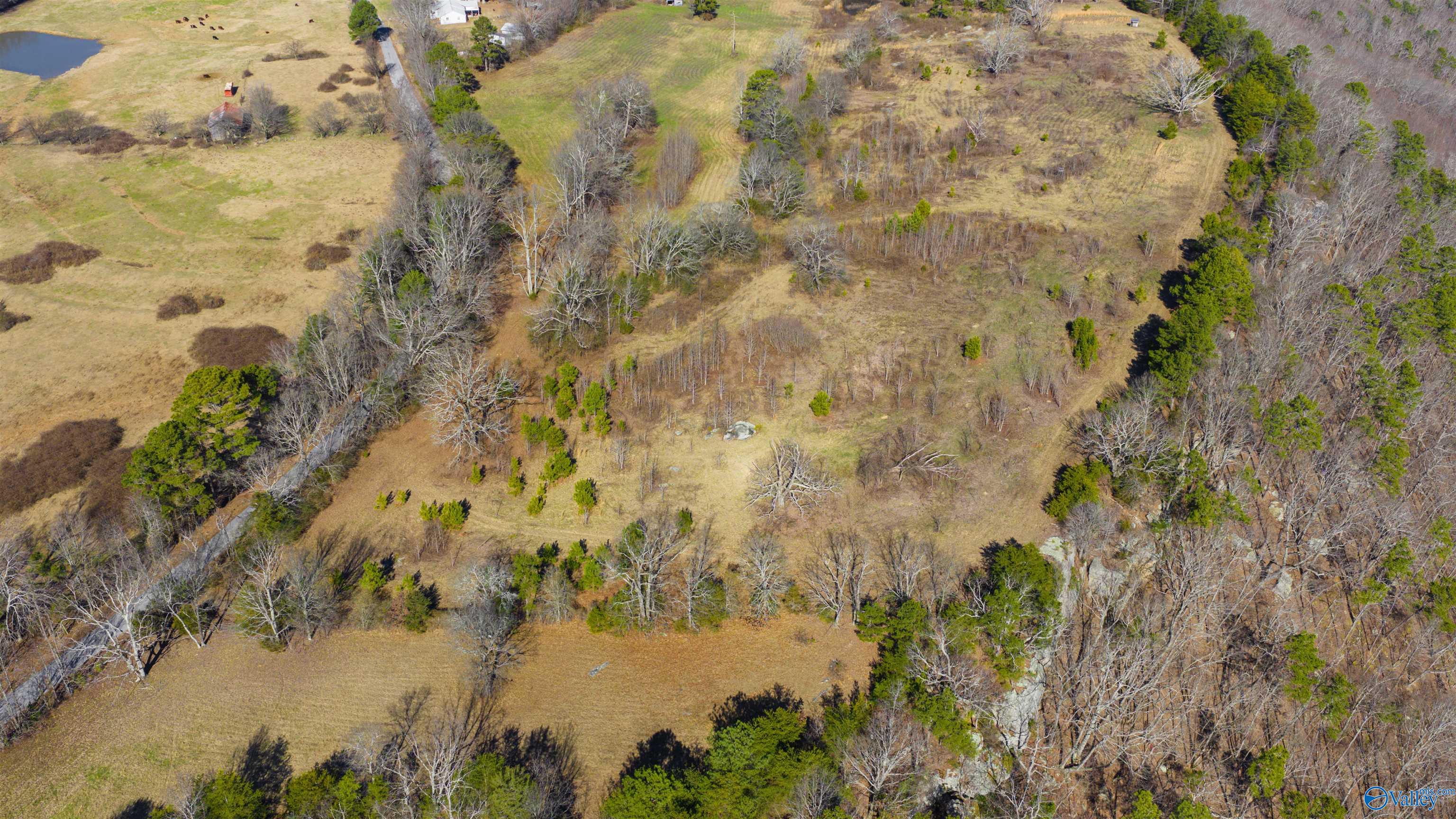 Lot 1 County Road 730