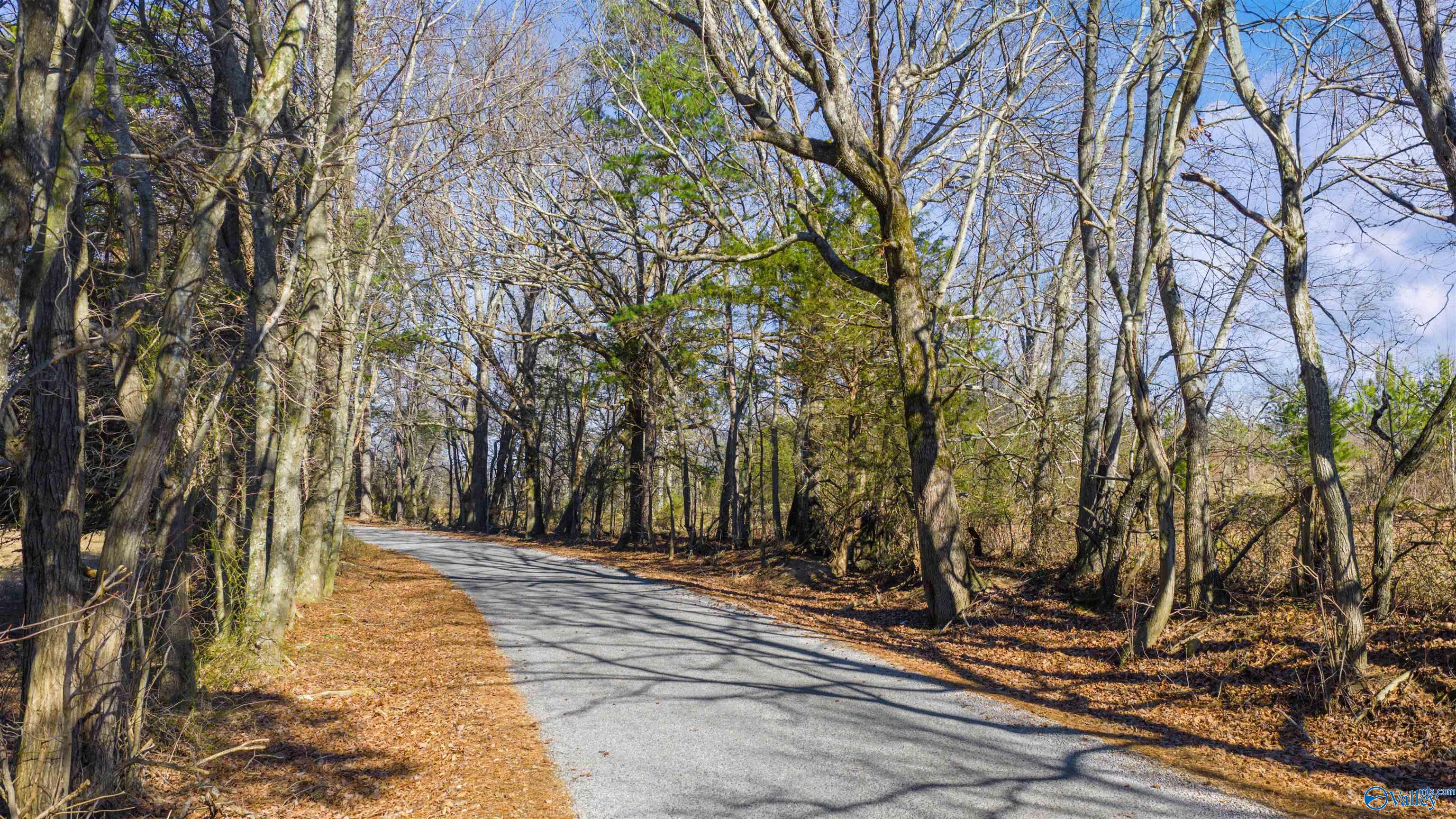 Lot 1 County Road 730