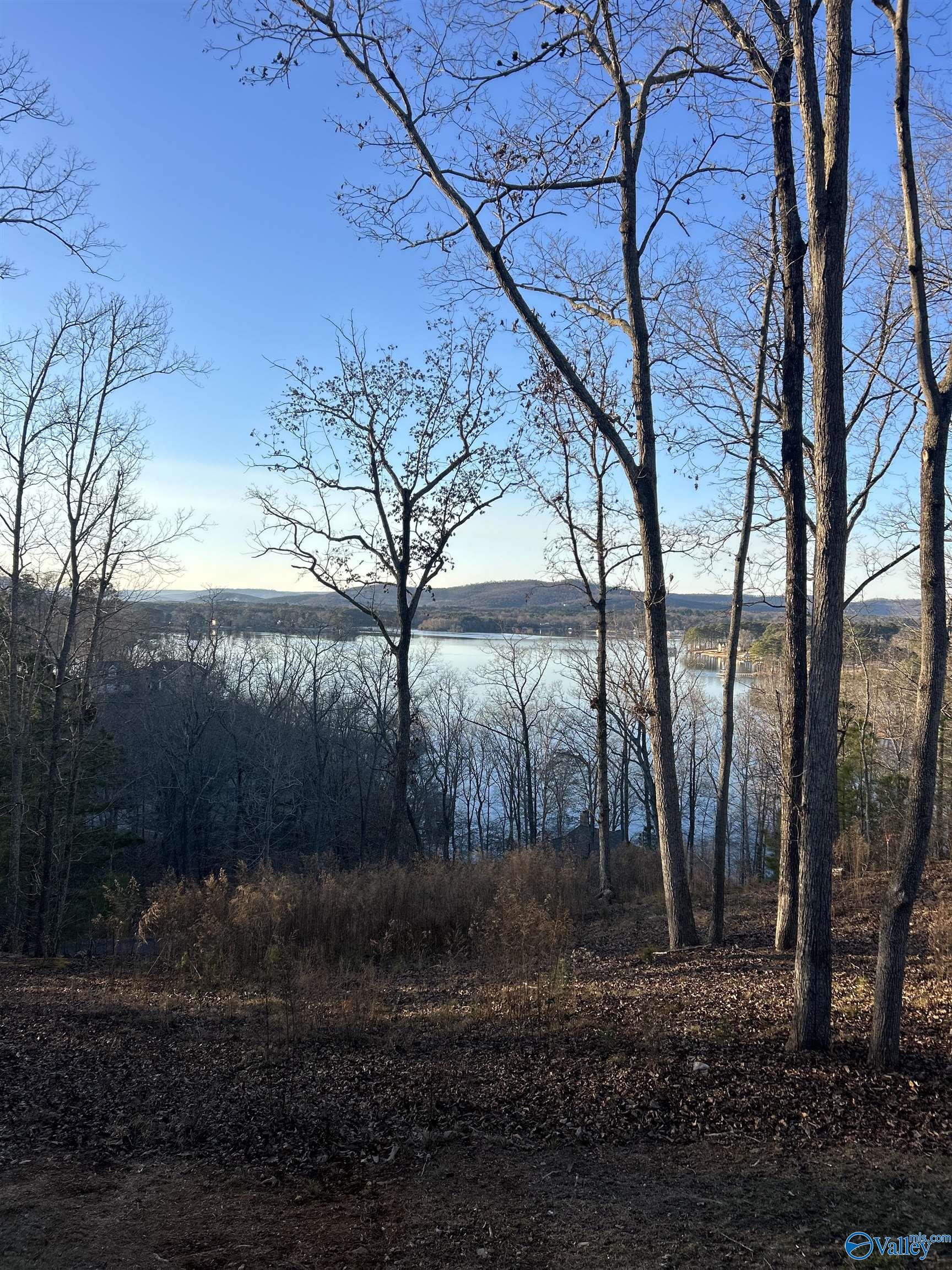 436 Monte Sano Drive