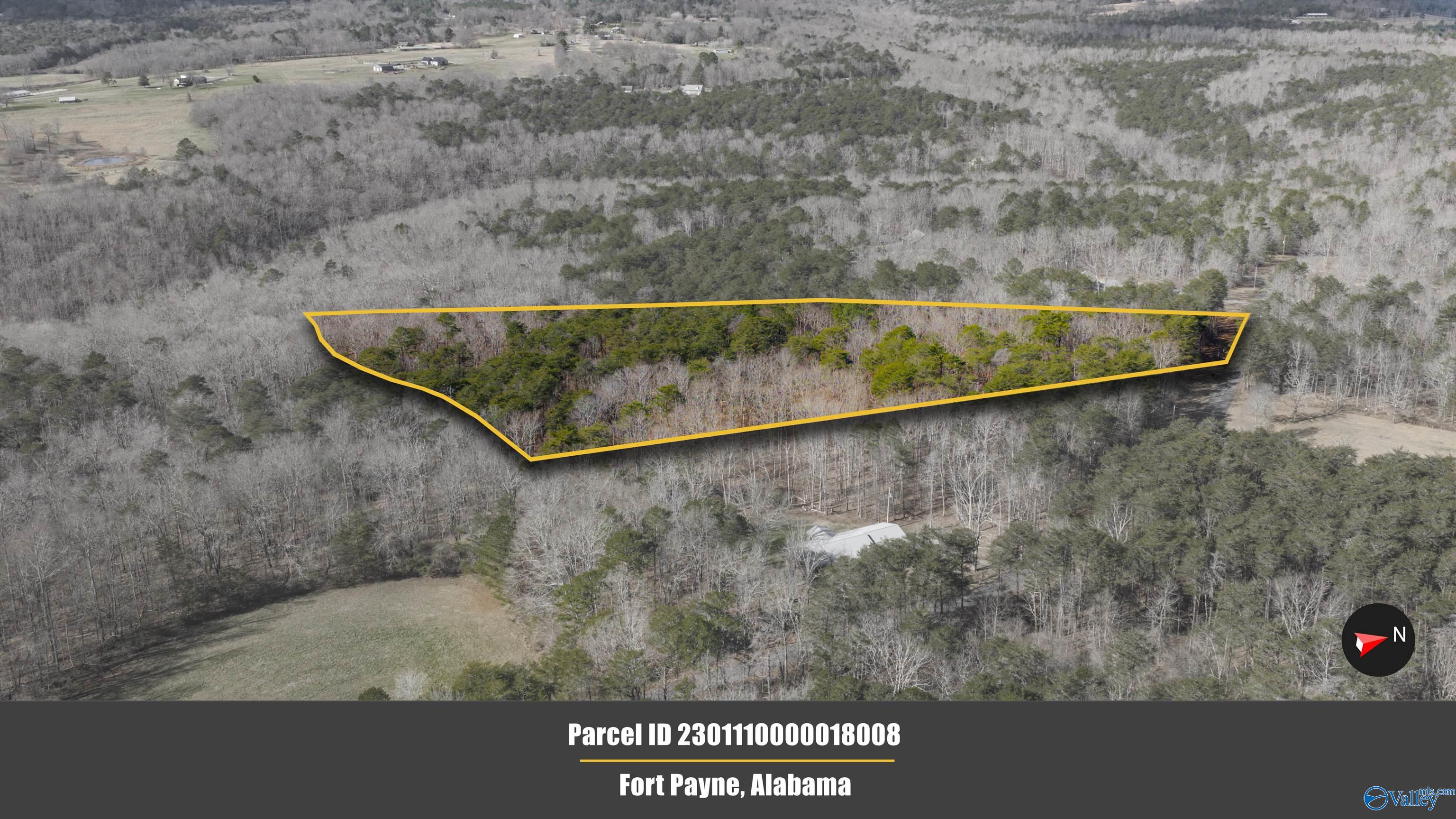 7.2 ACRES Bird Dog Trail NE