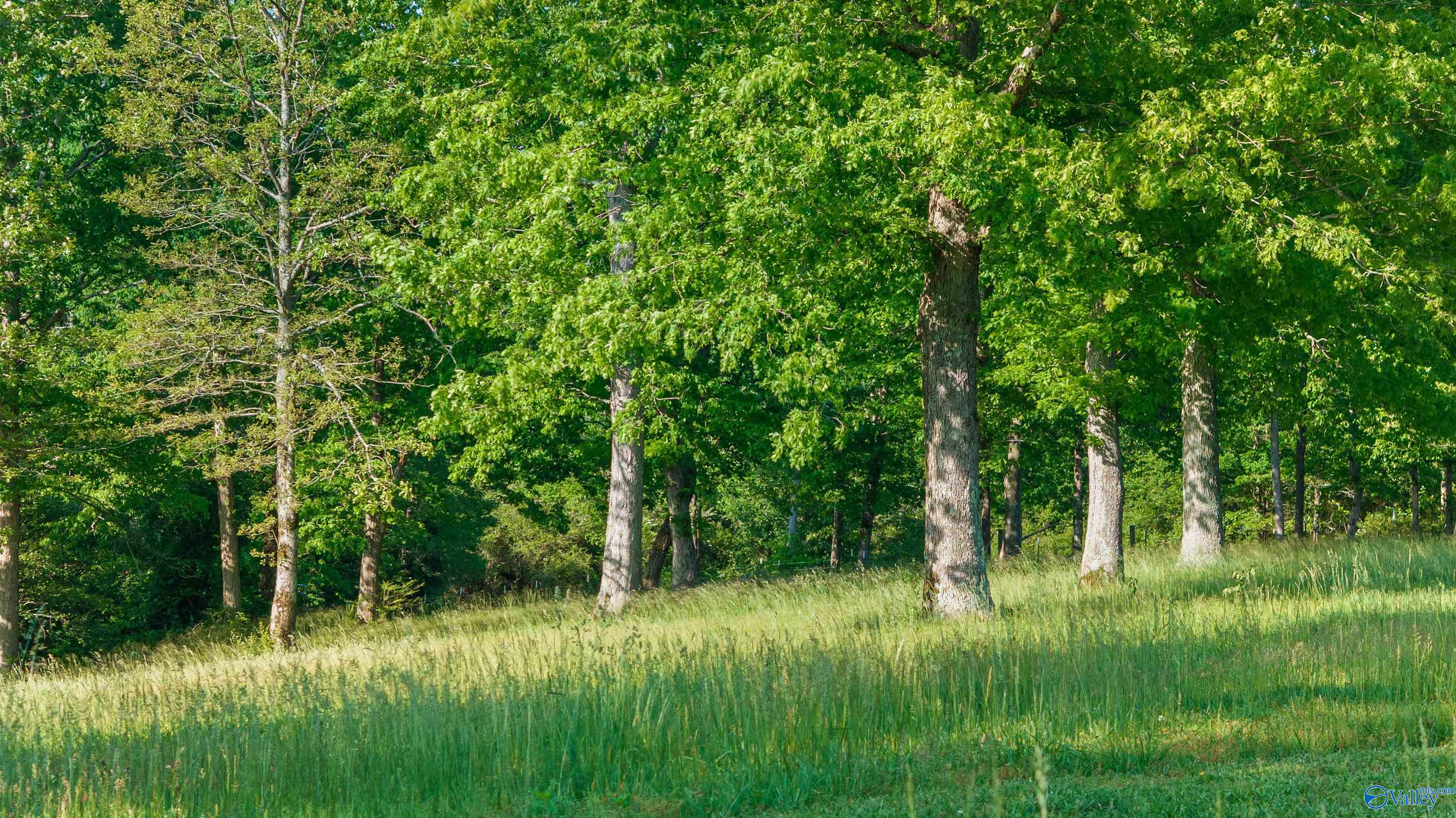 778 County Road 572