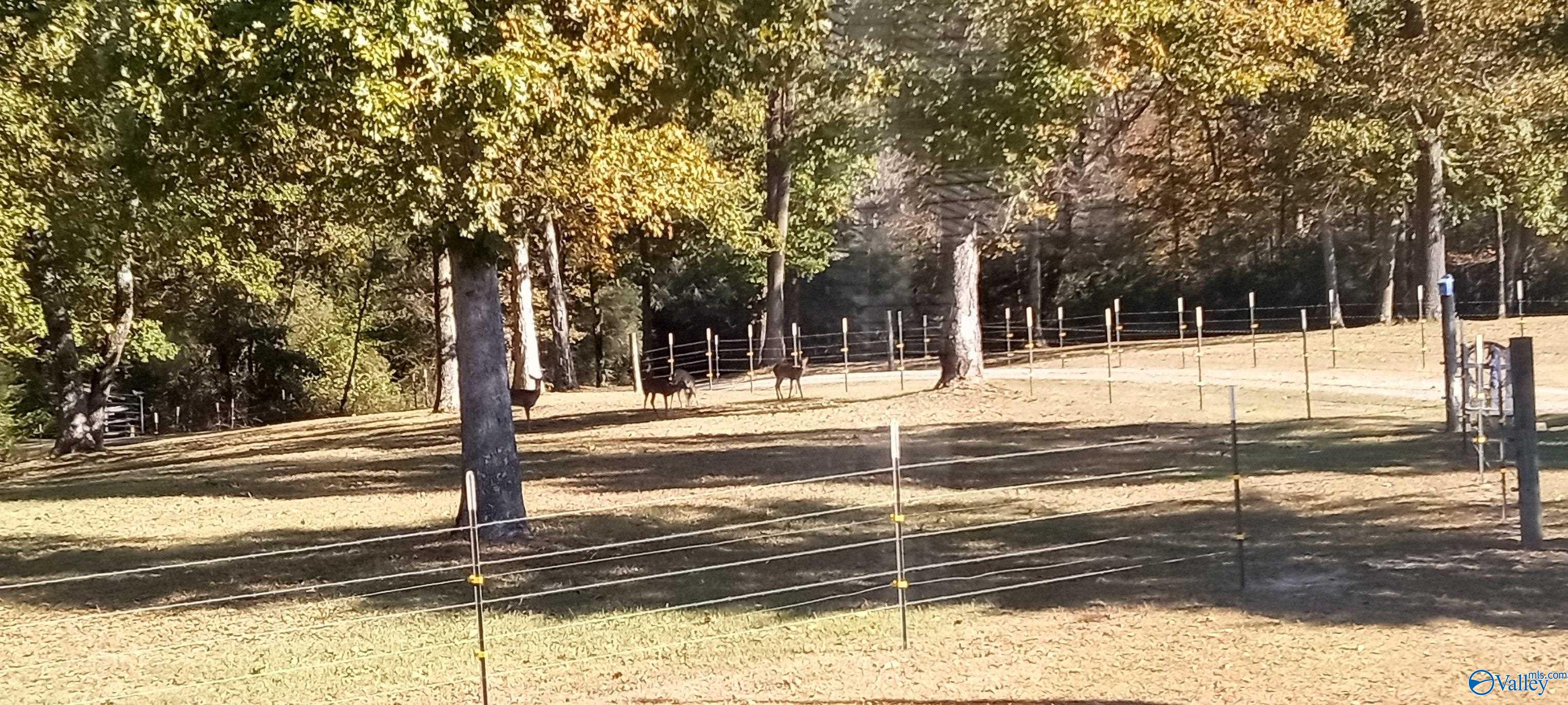 778 County Road 572