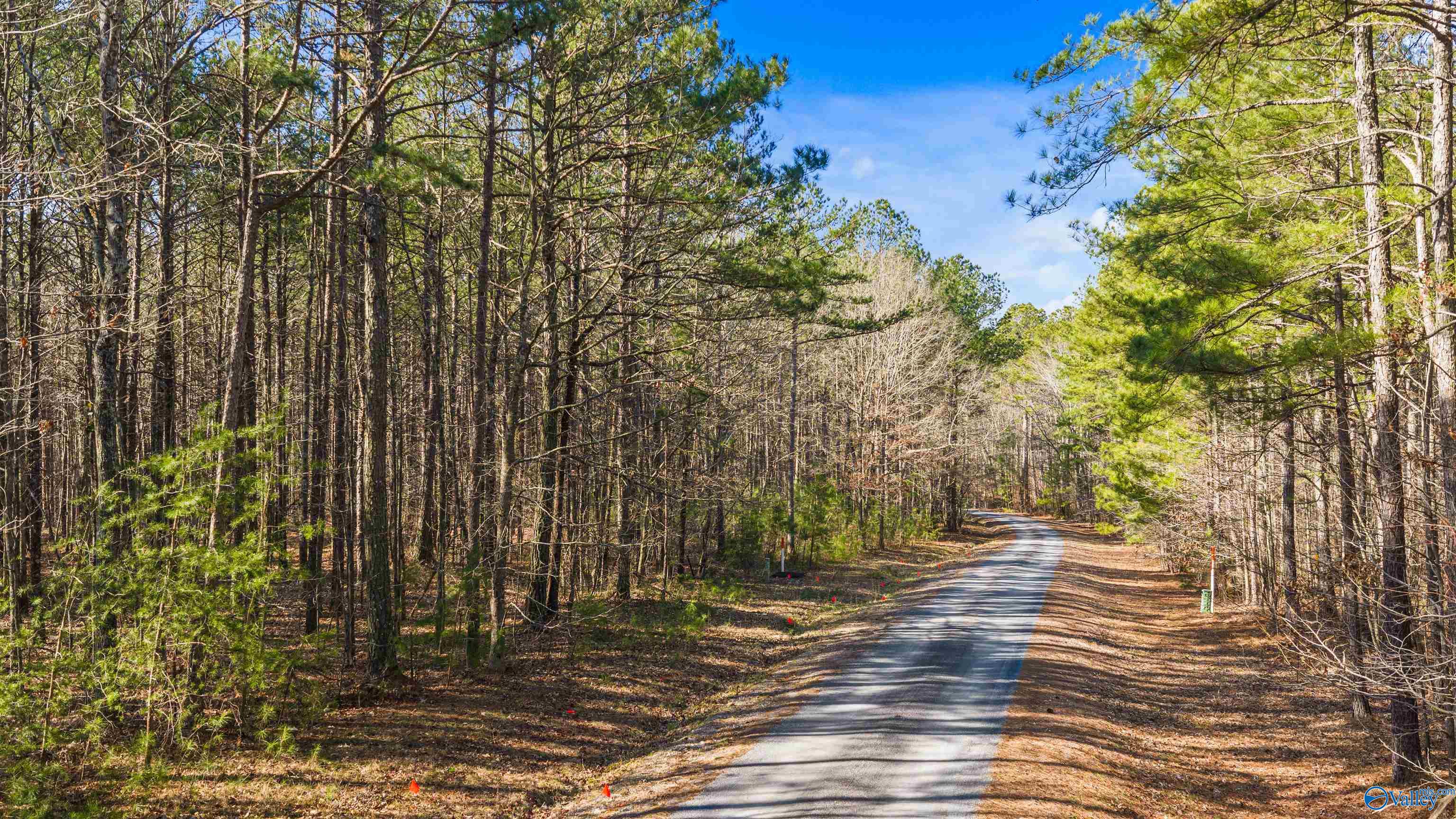 Lot 32 County Road 103