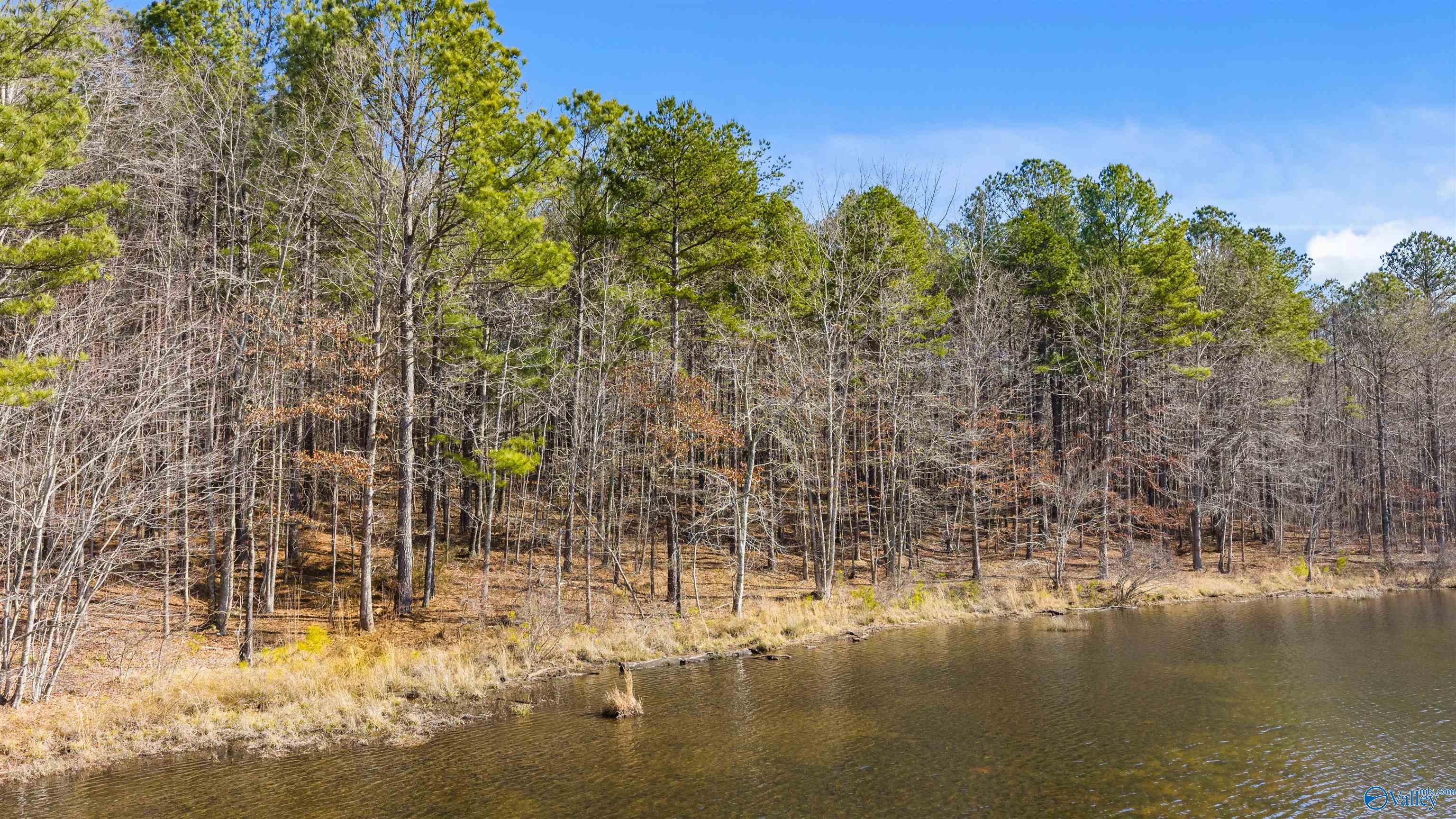 Lot 32 County Road 103
