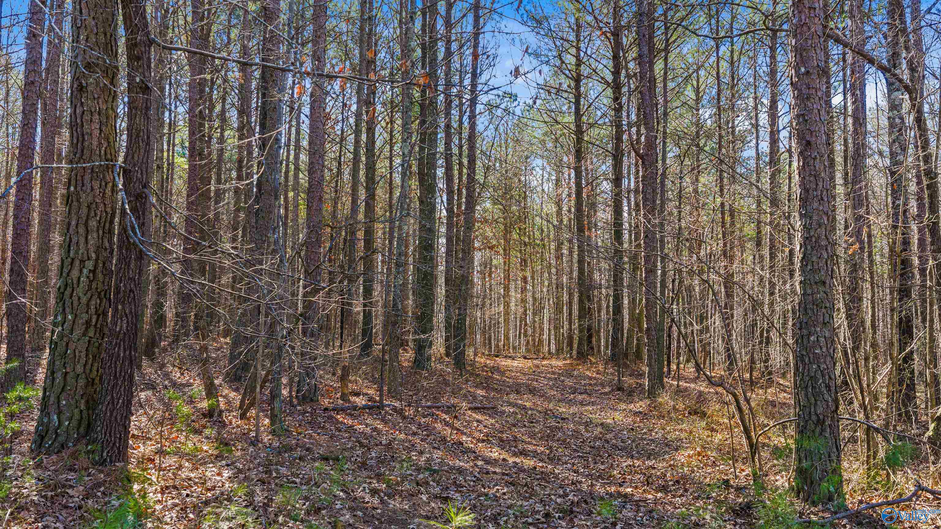 Lot 32 County Road 103
