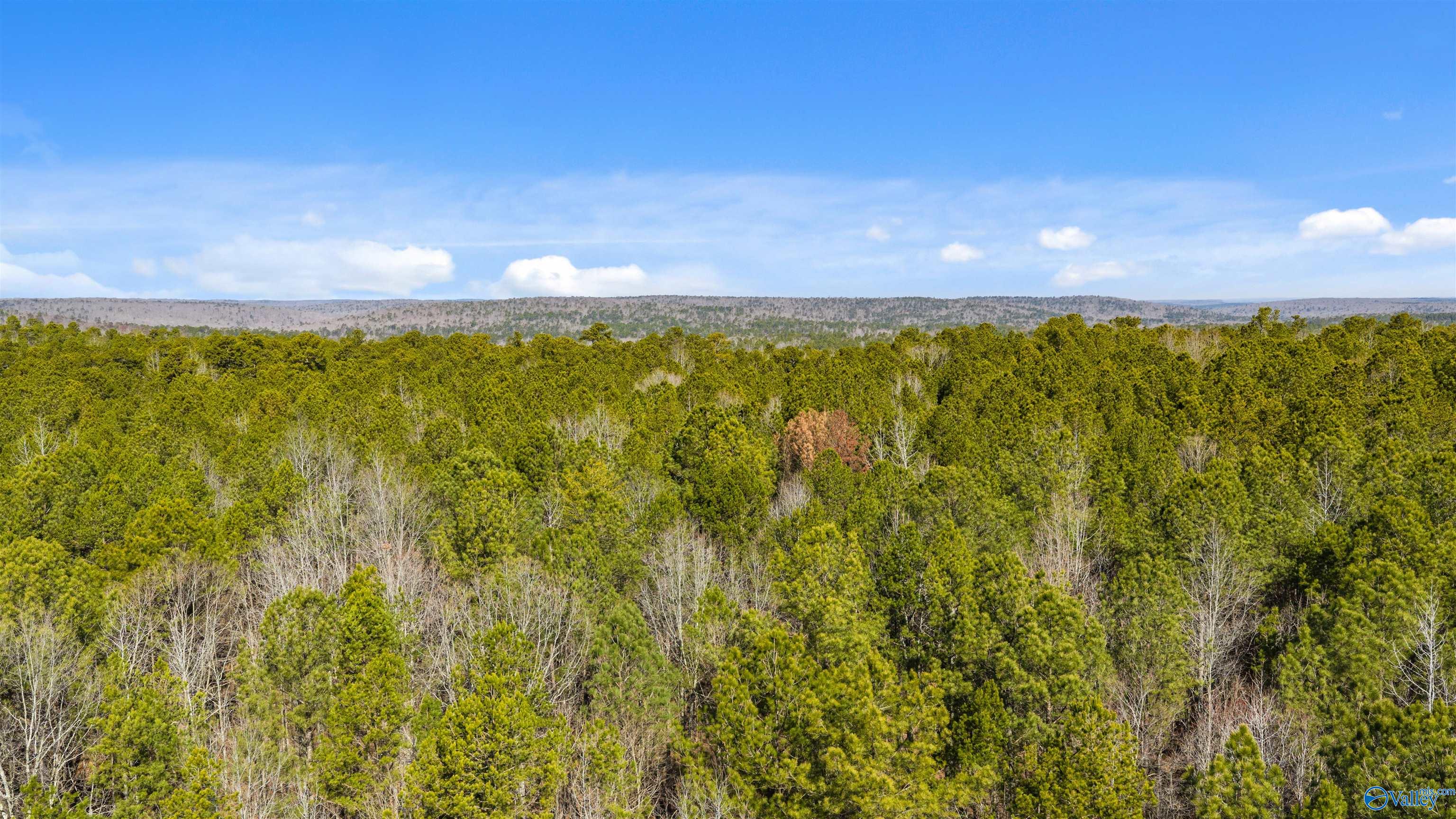 Lot 32 County Road 103