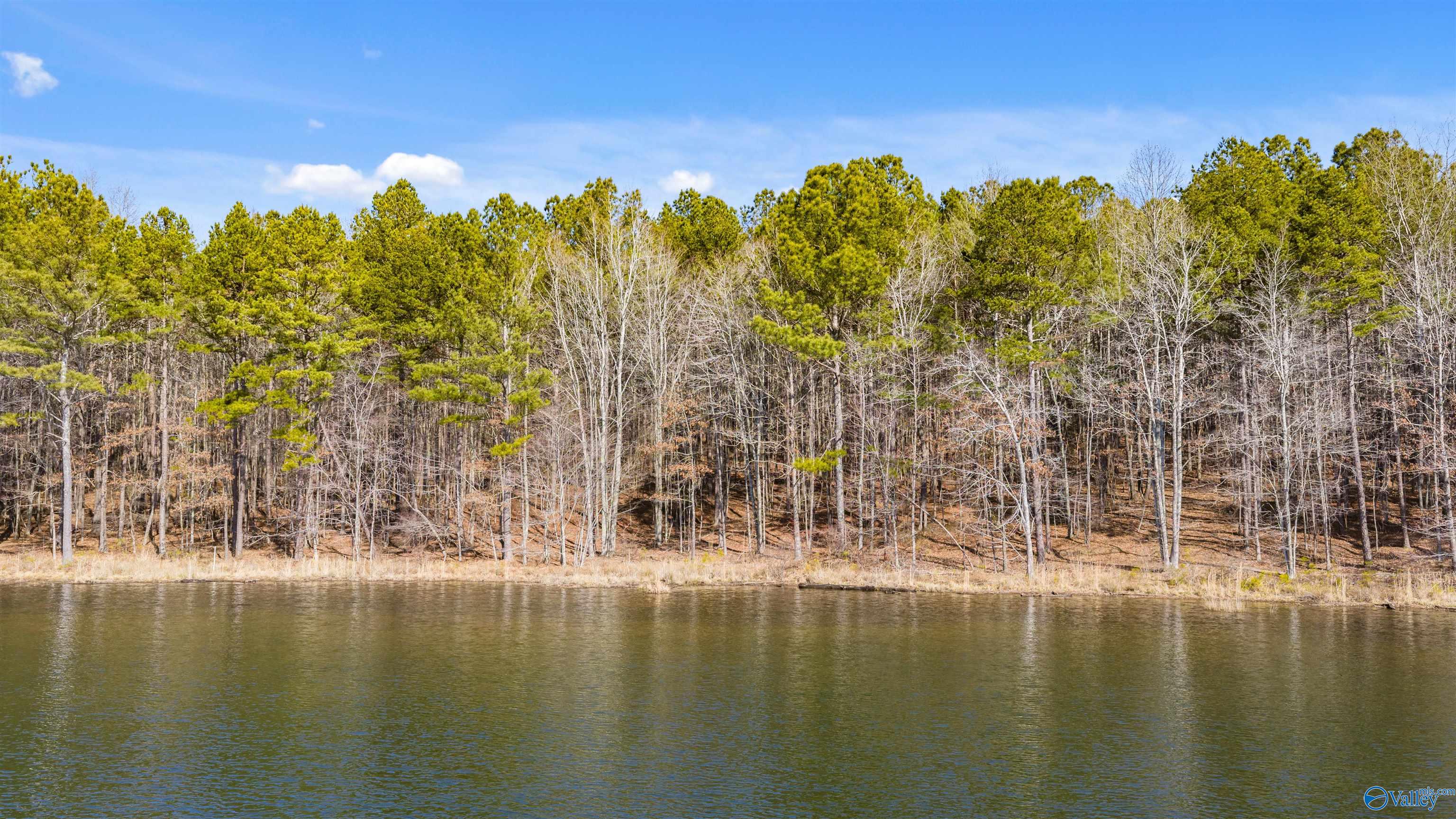 Lot 32 County Road 103
