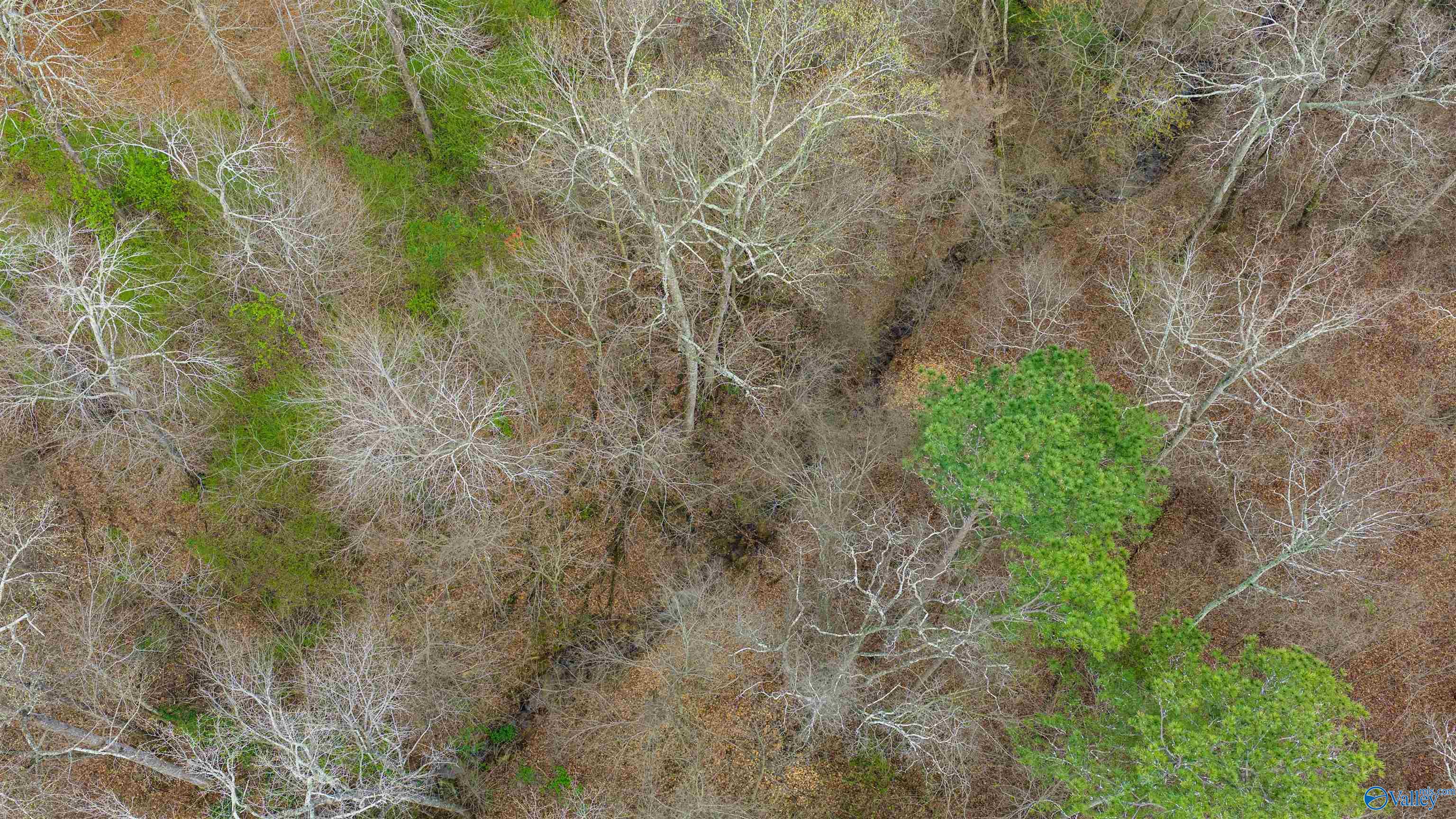 14 acres Bluff View Drive