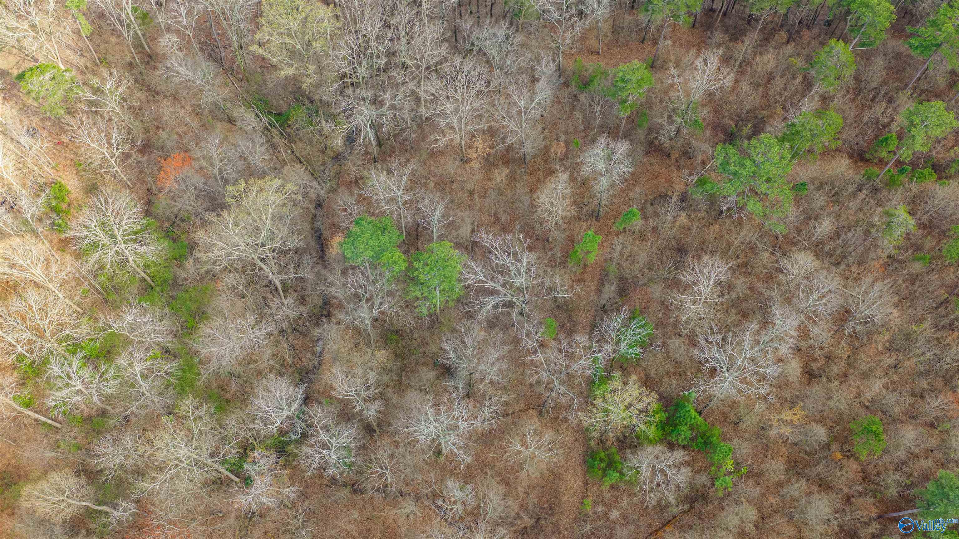 14 acres Bluff View Drive