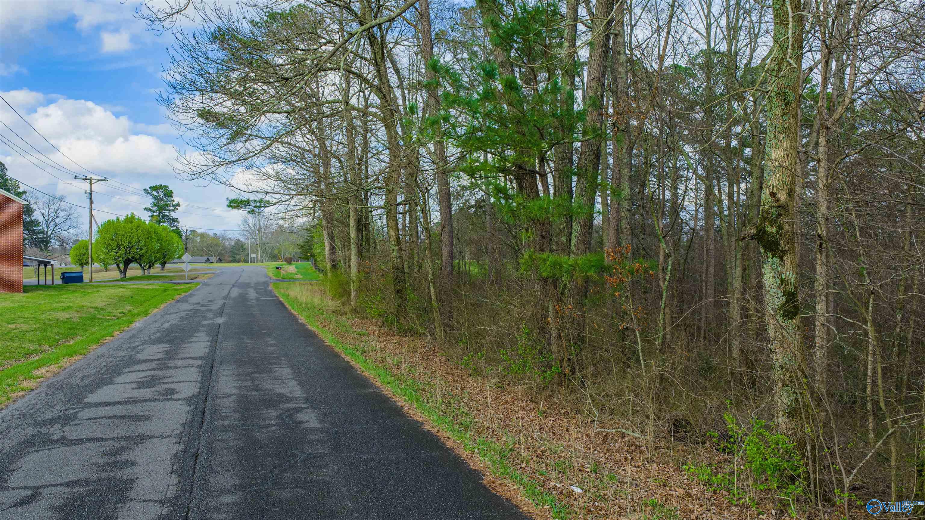 14 acres Bluff View Drive