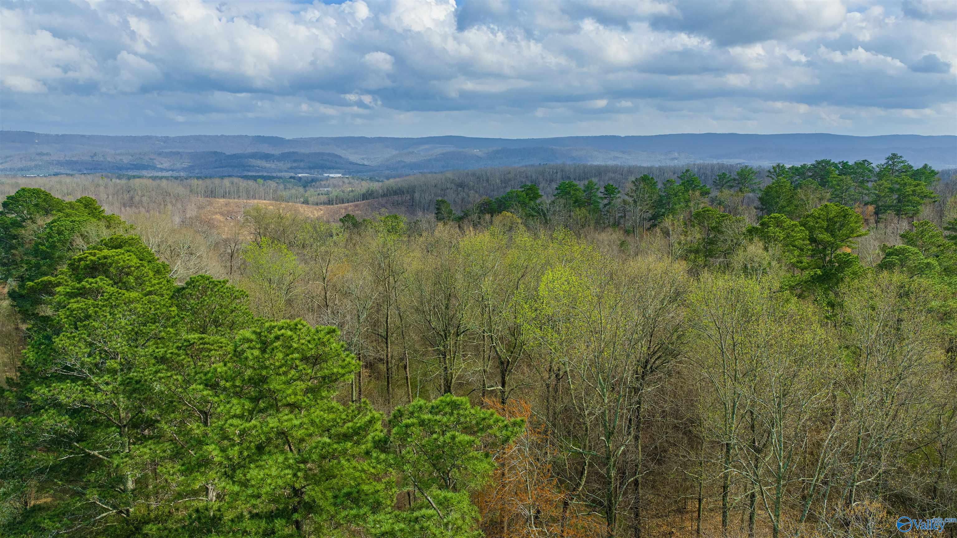 14 acres Bluff View Drive