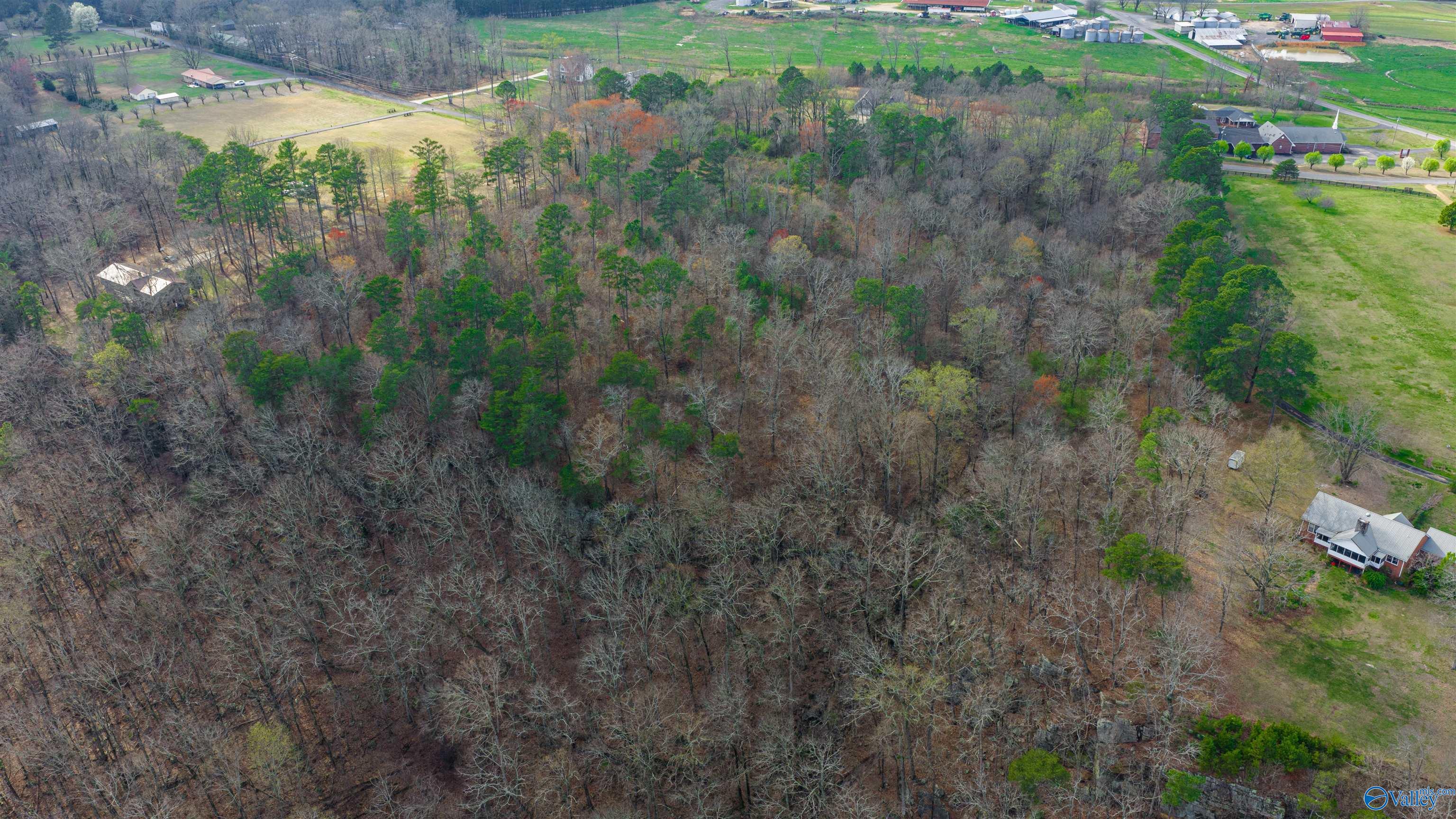 14 acres Bluff View Drive