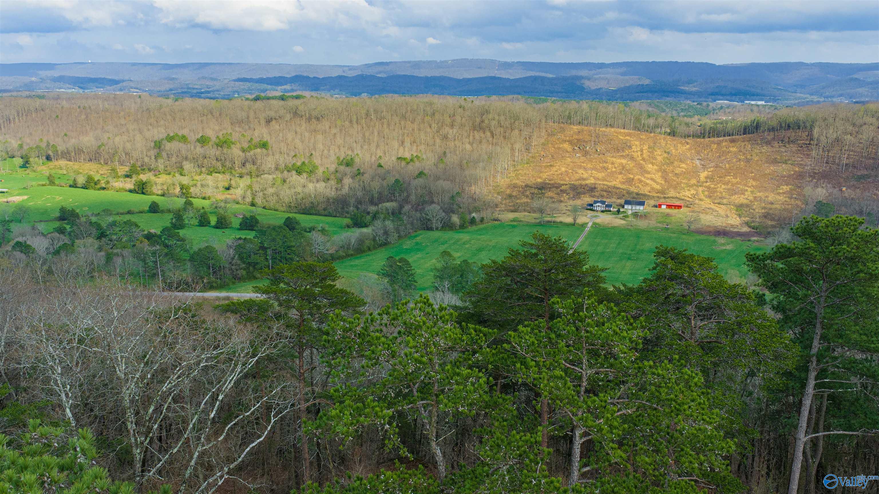 14 acres Bluff View Drive