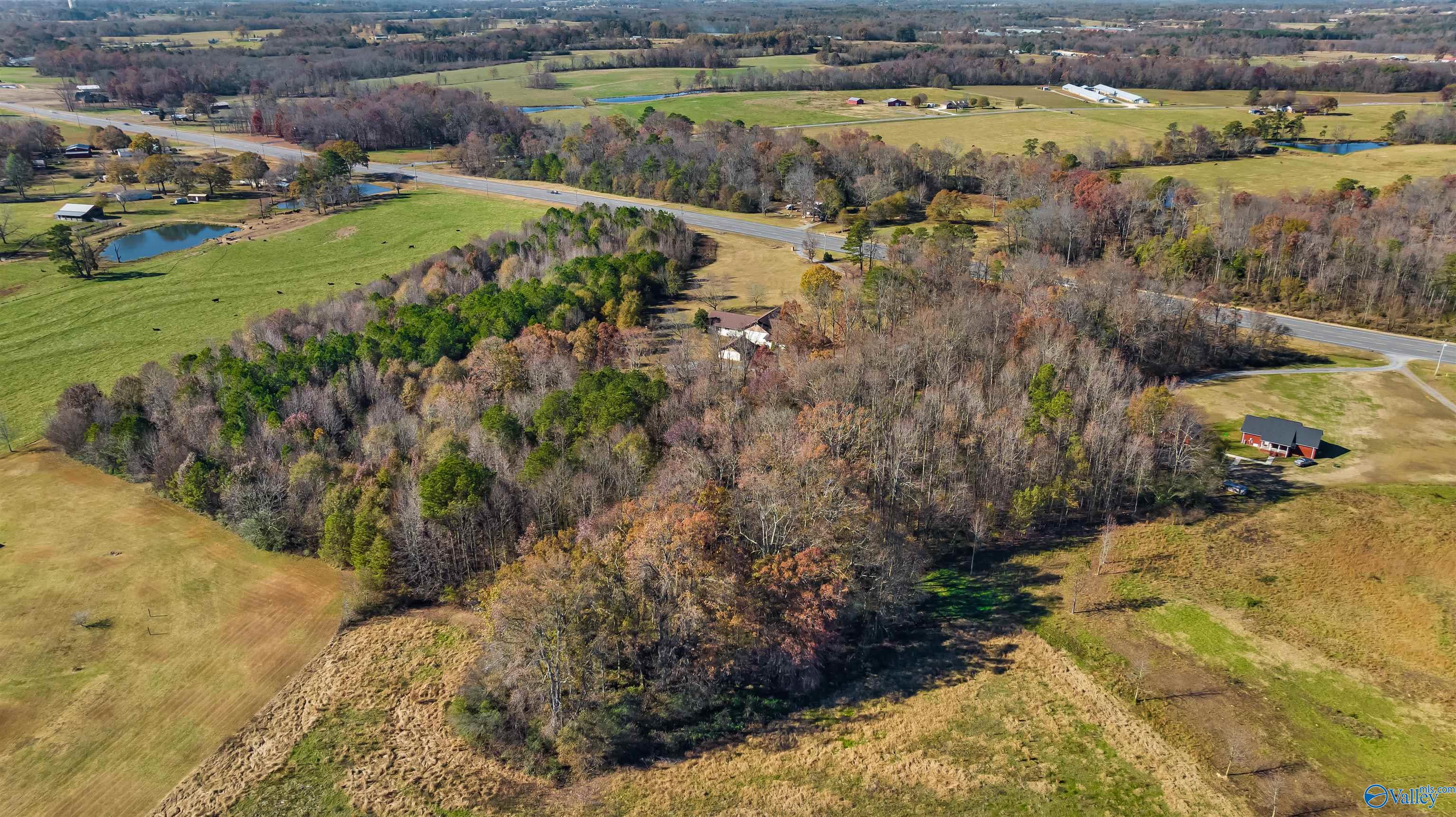 34953 Alabama Highway 75
