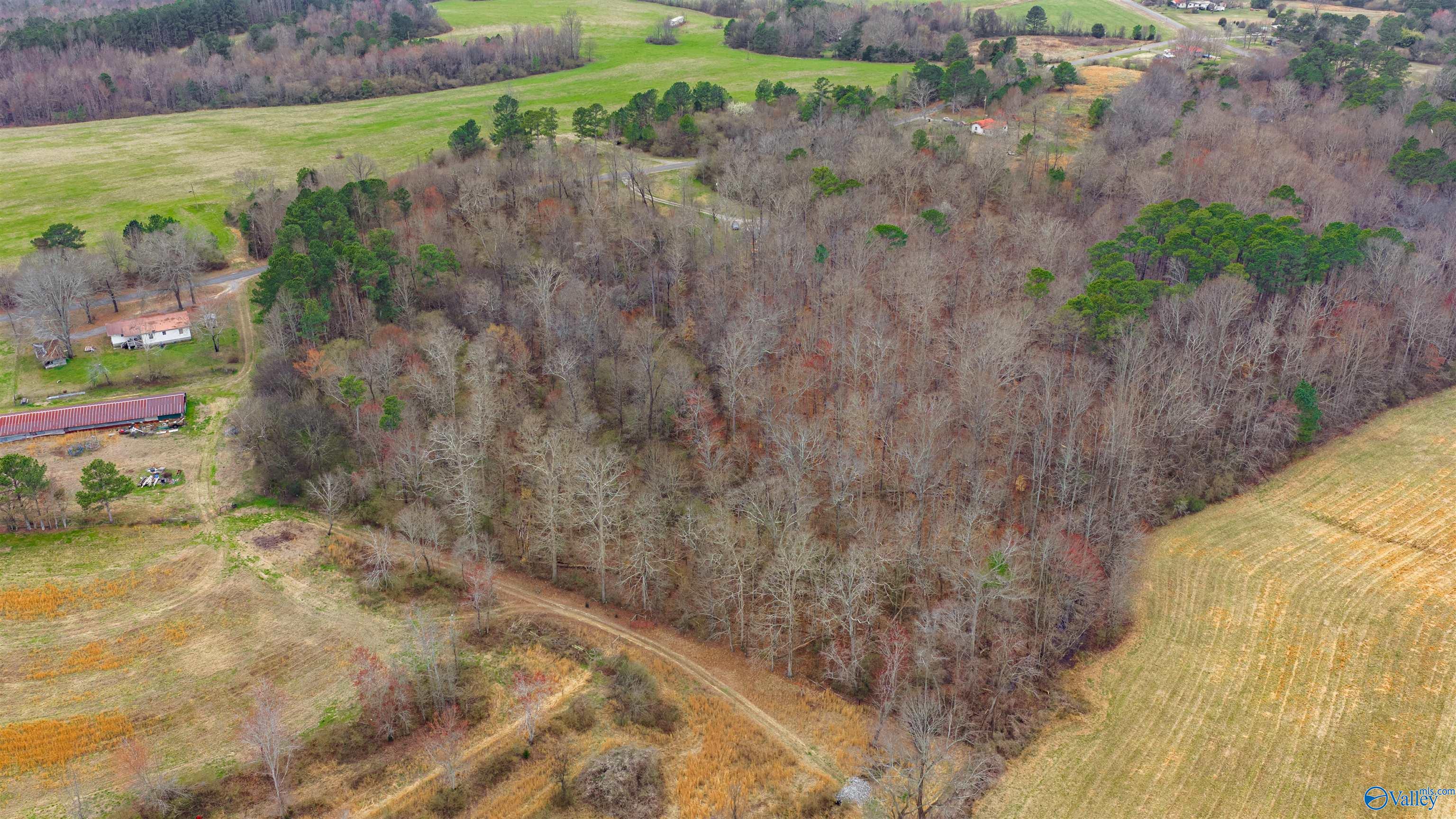 5+/- acres County Road 49