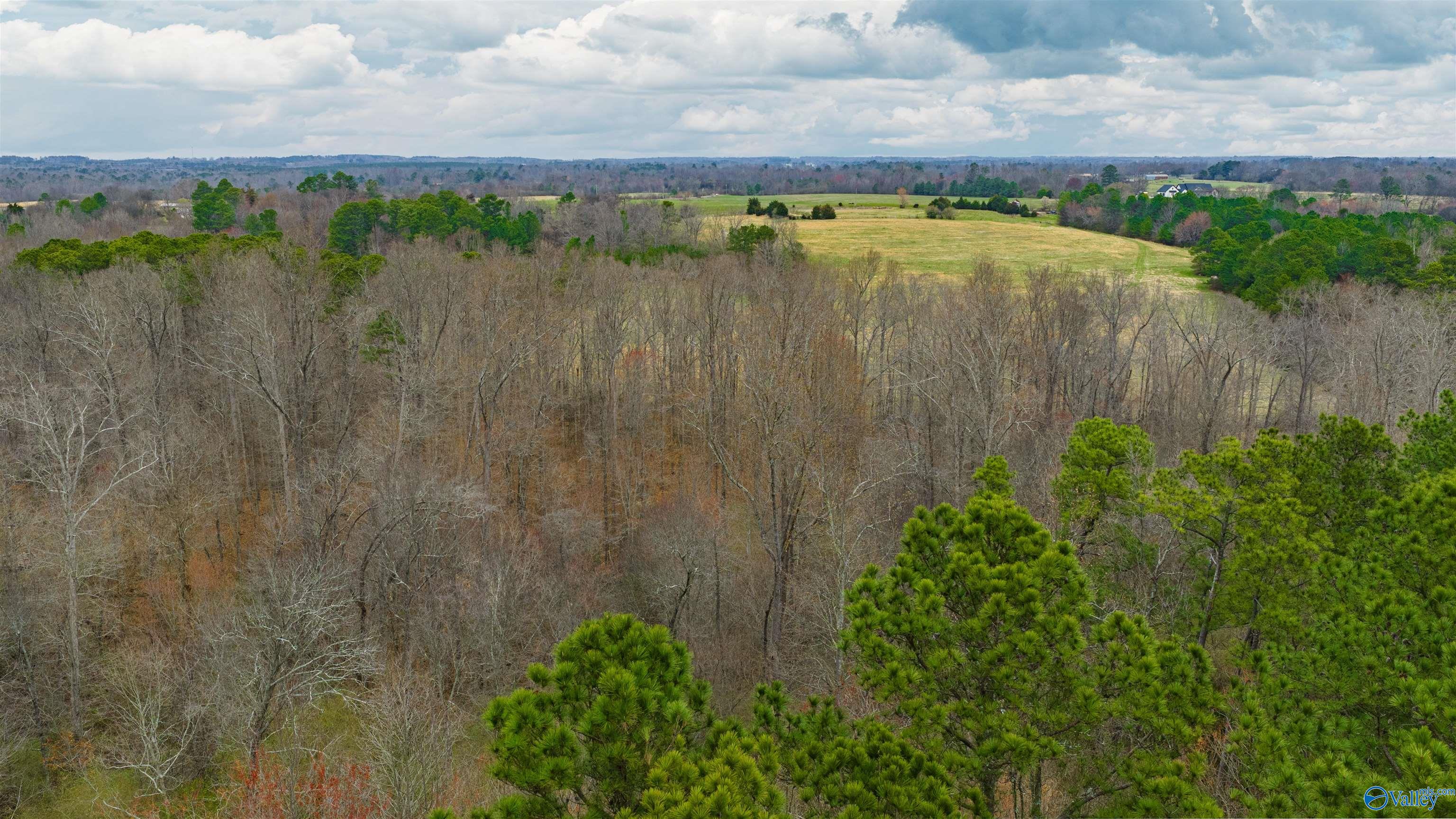 5+/- acres County Road 49