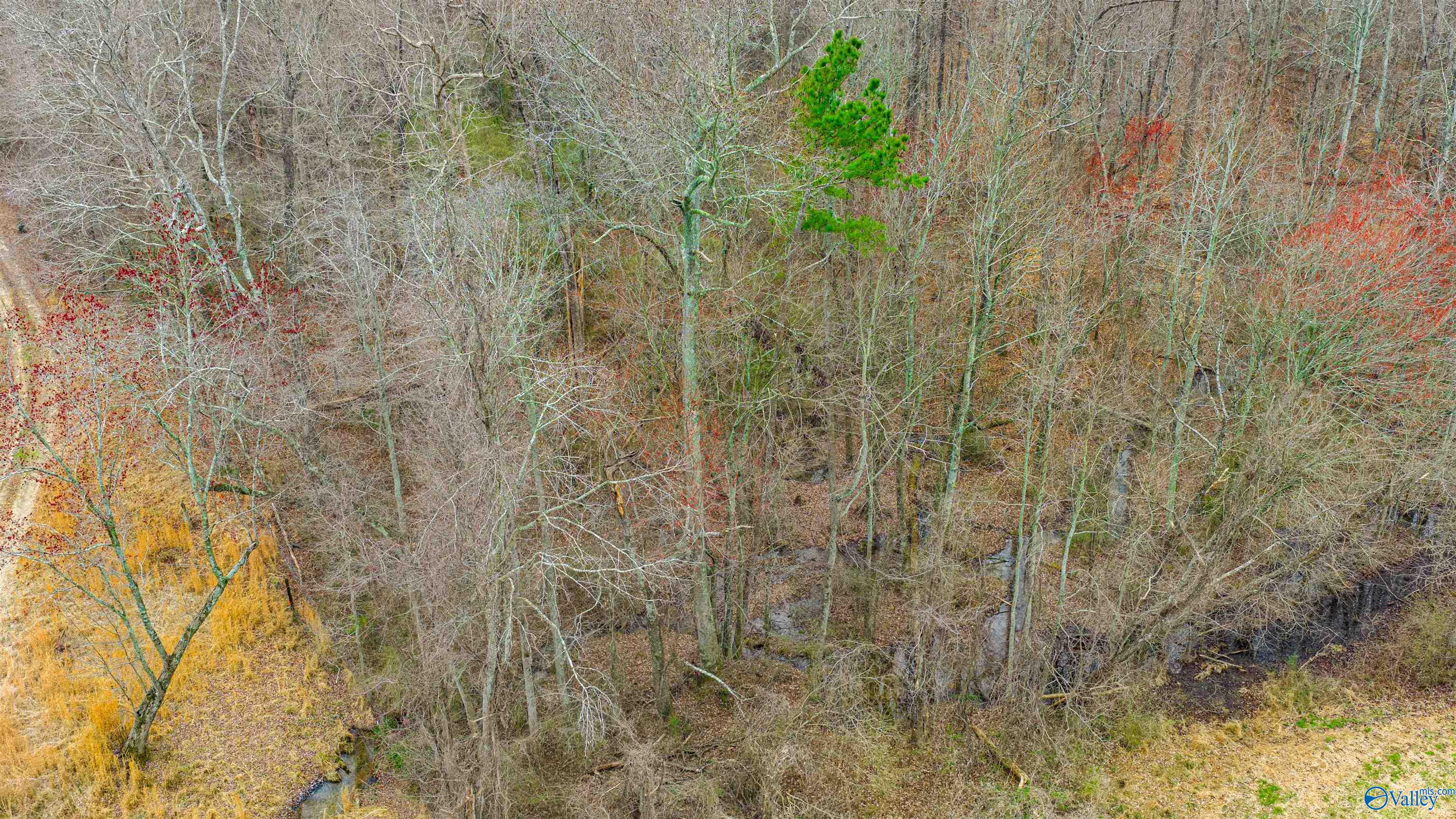 5+/- acres County Road 49