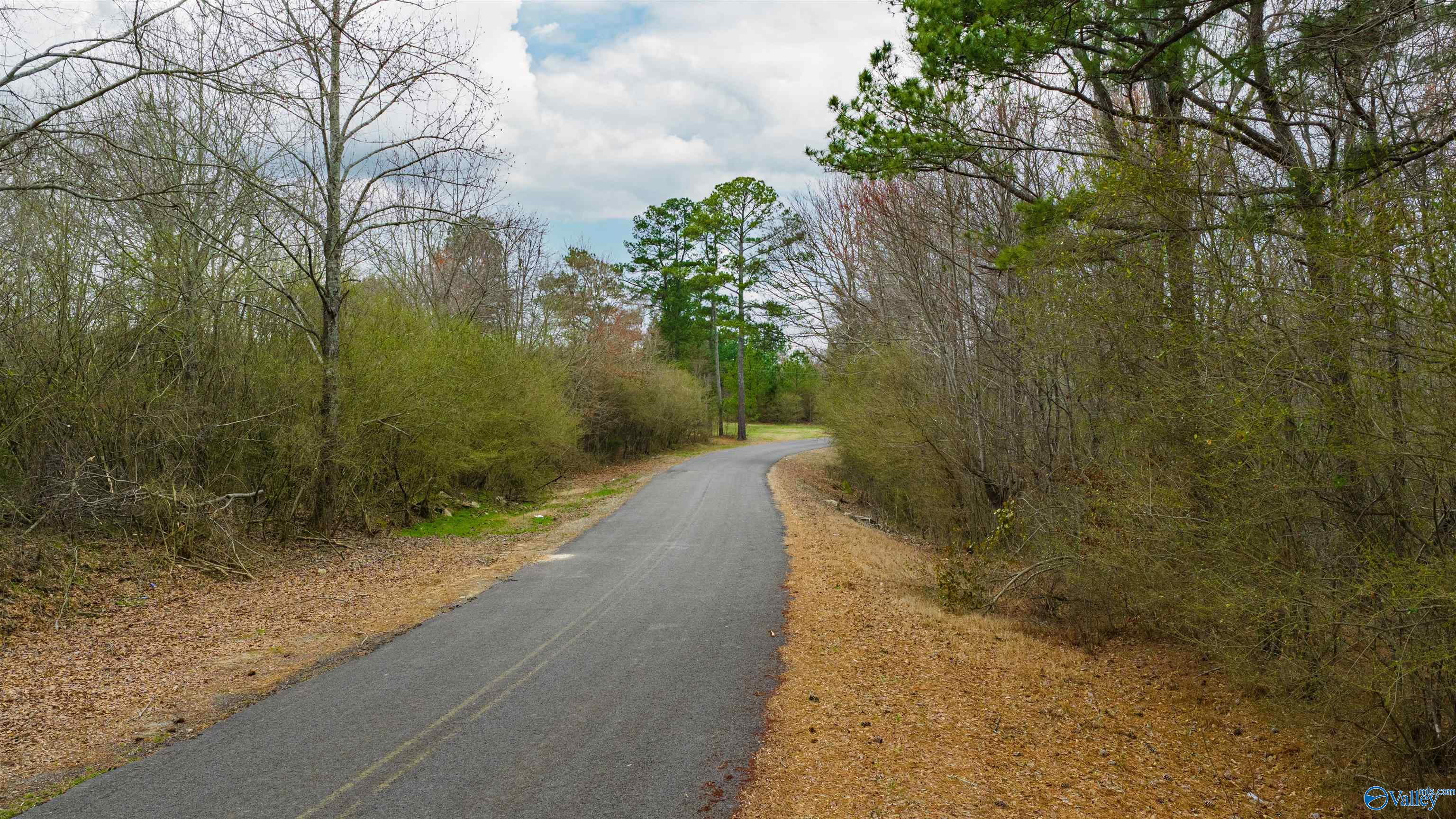 5+/- acres County Road 49