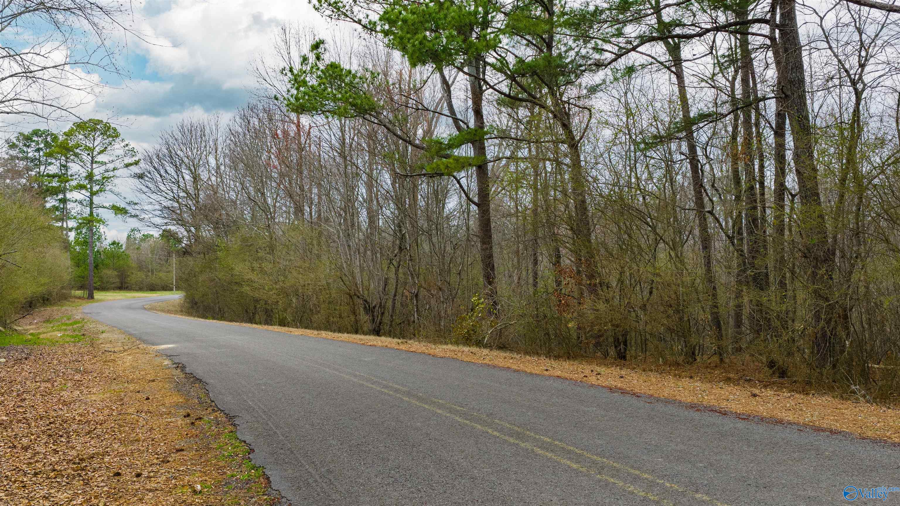 5+/- acres County Road 49