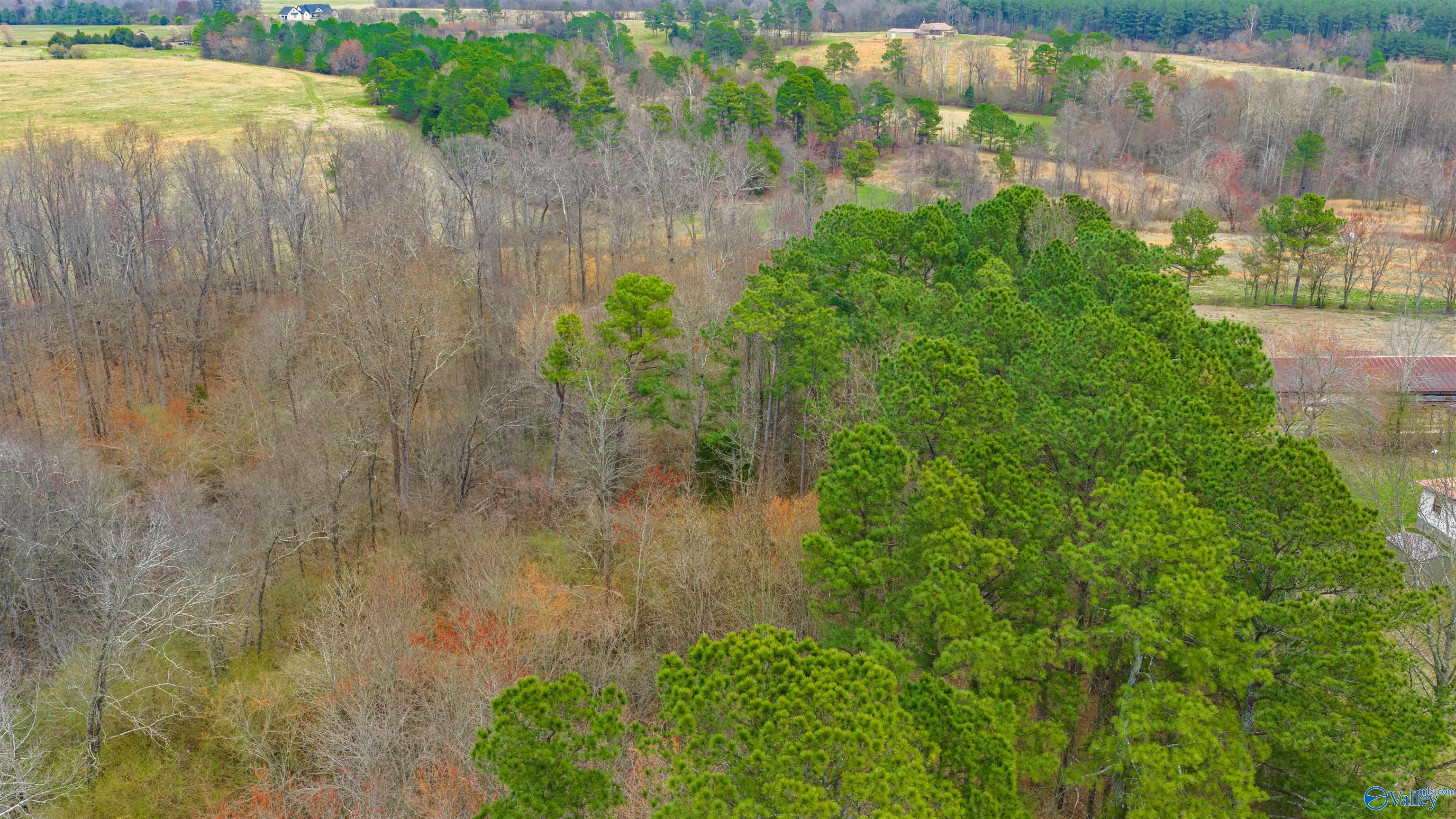 5+/- acres County Road 49