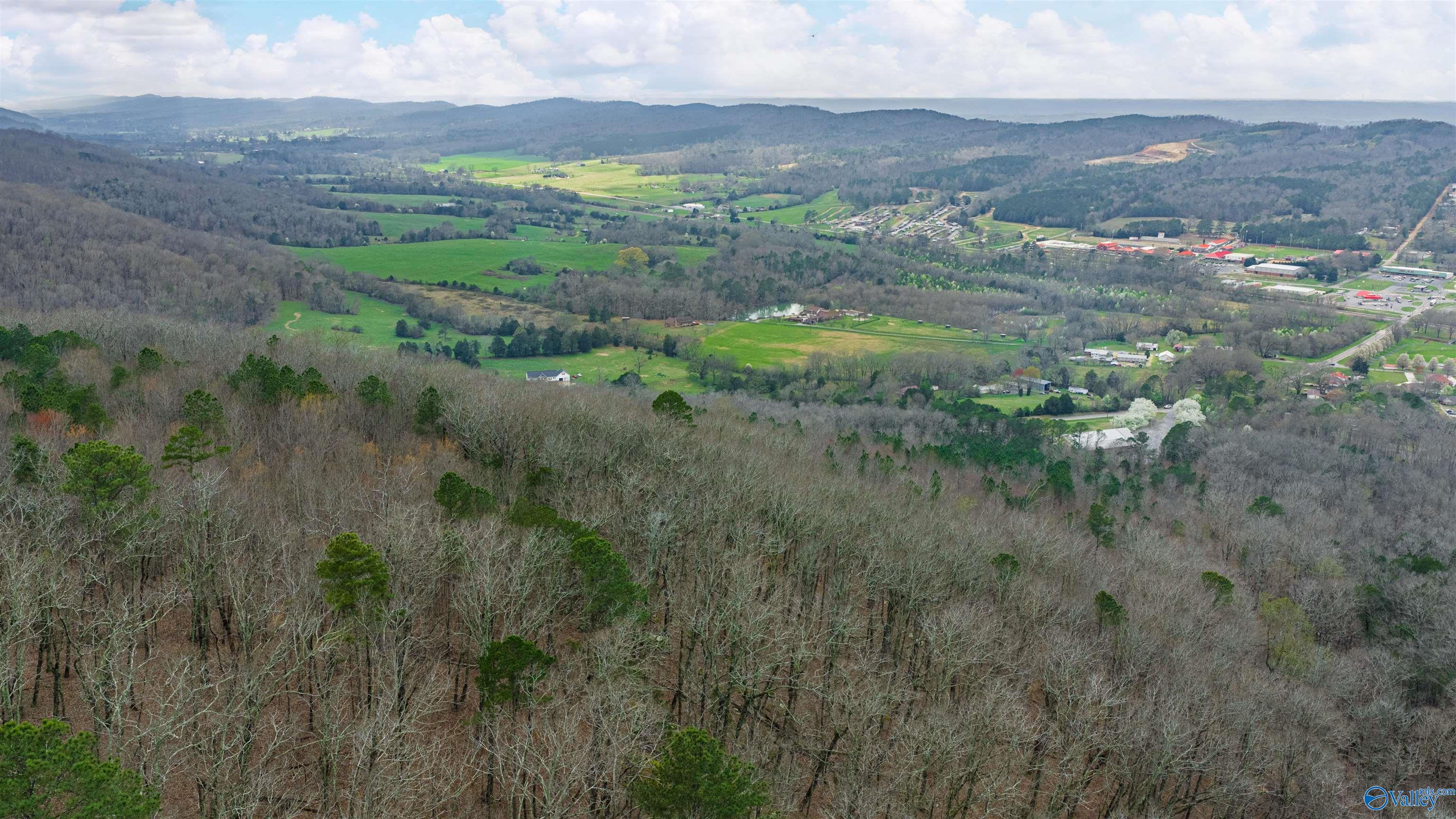 37.2 Acres Highway 68