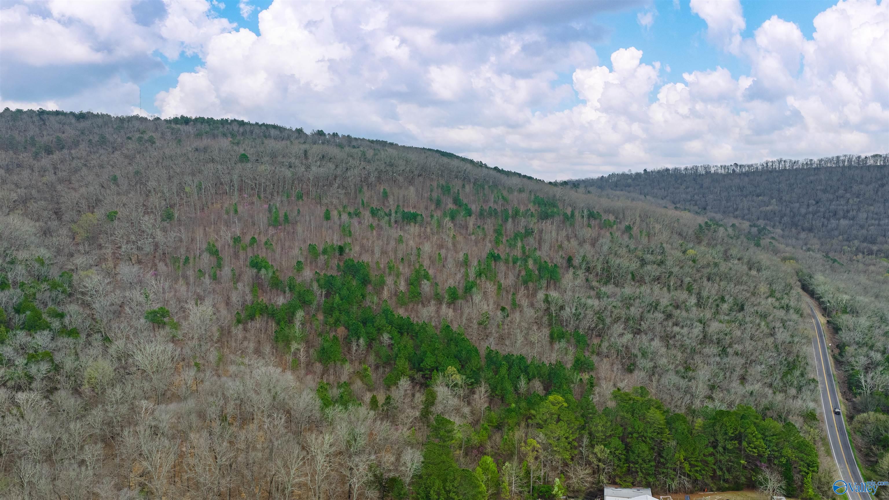 37.2 Acres Highway 68