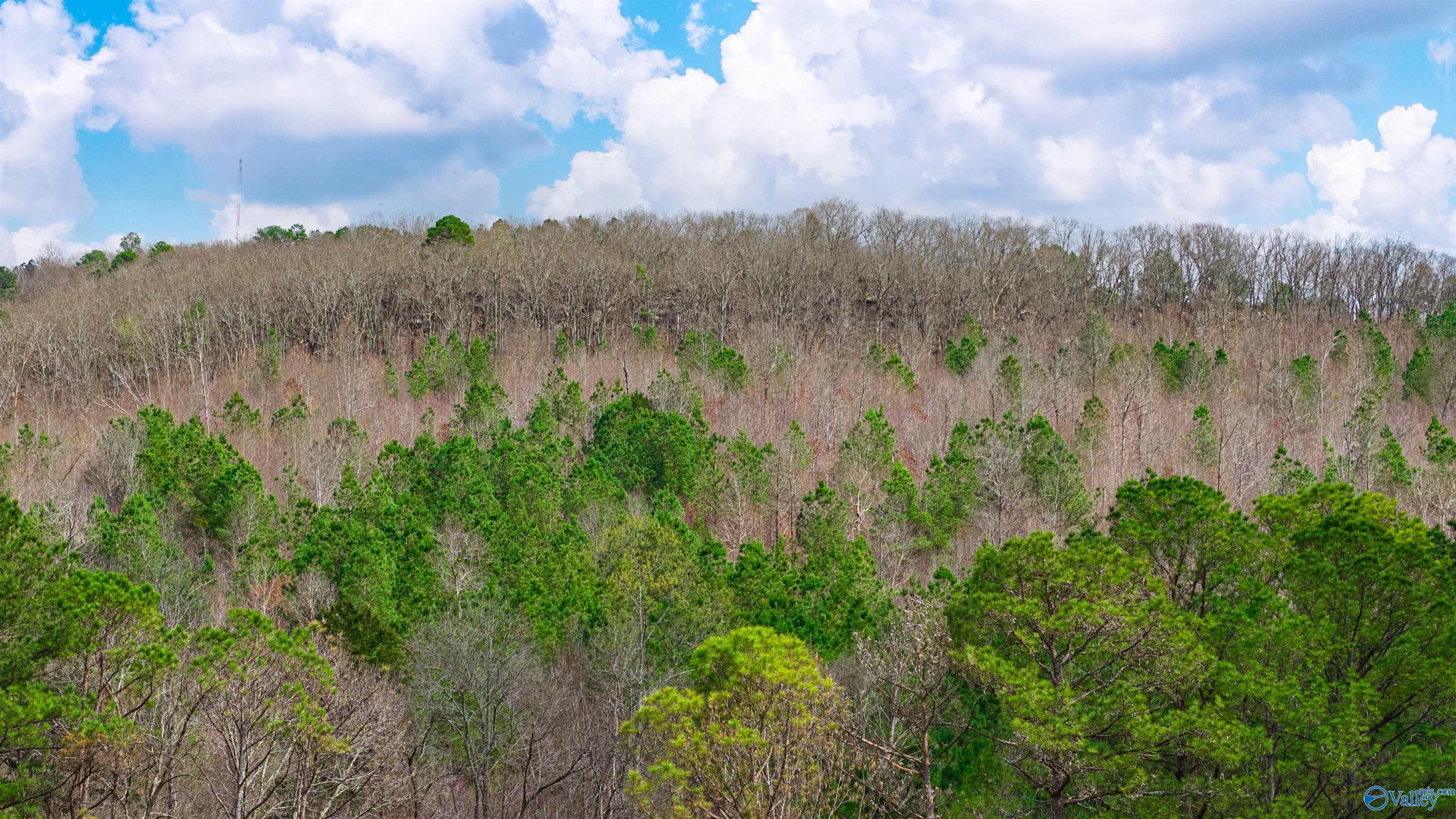37.2 Acres Highway 68