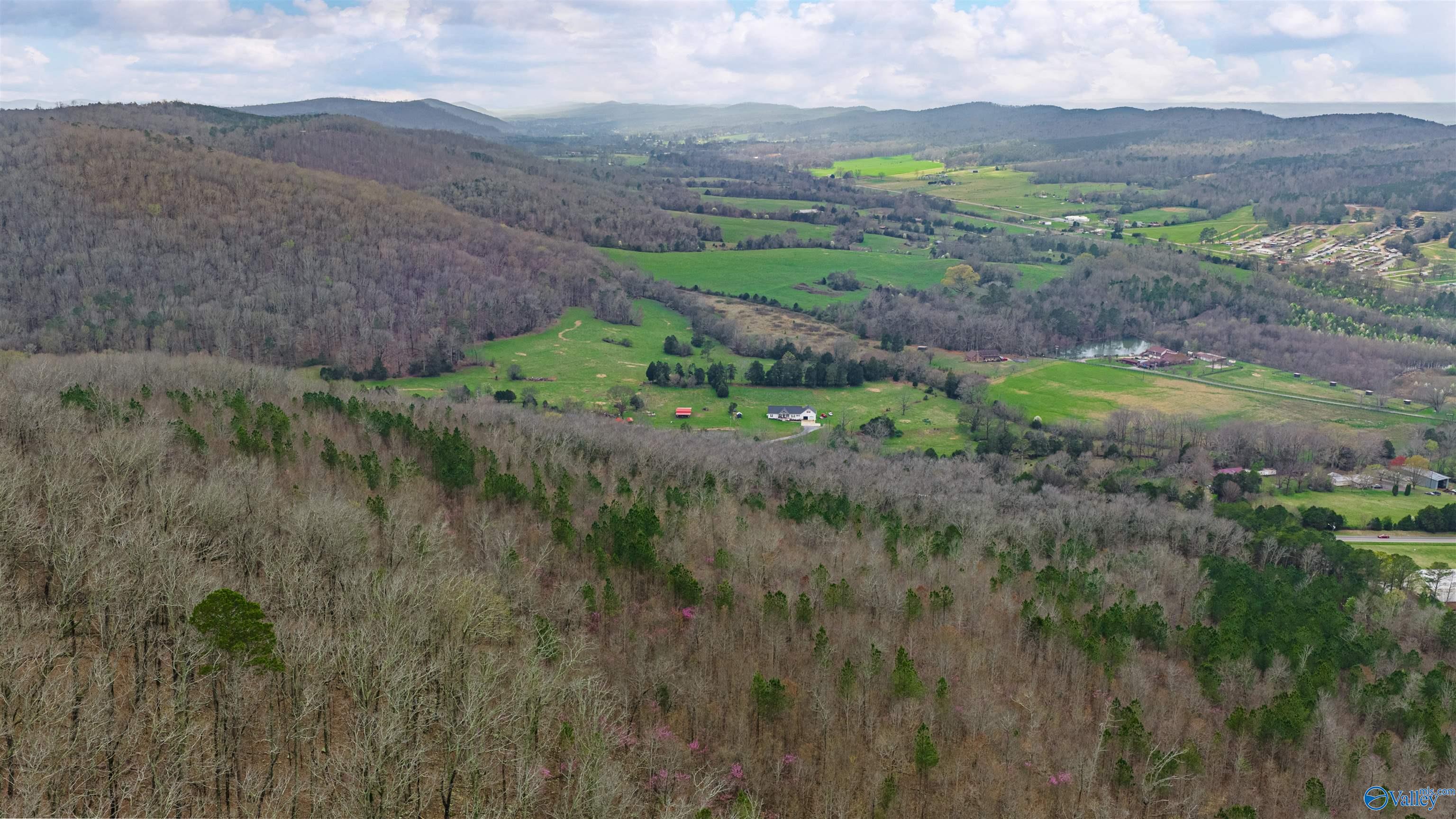 37.2 Acres Highway 68