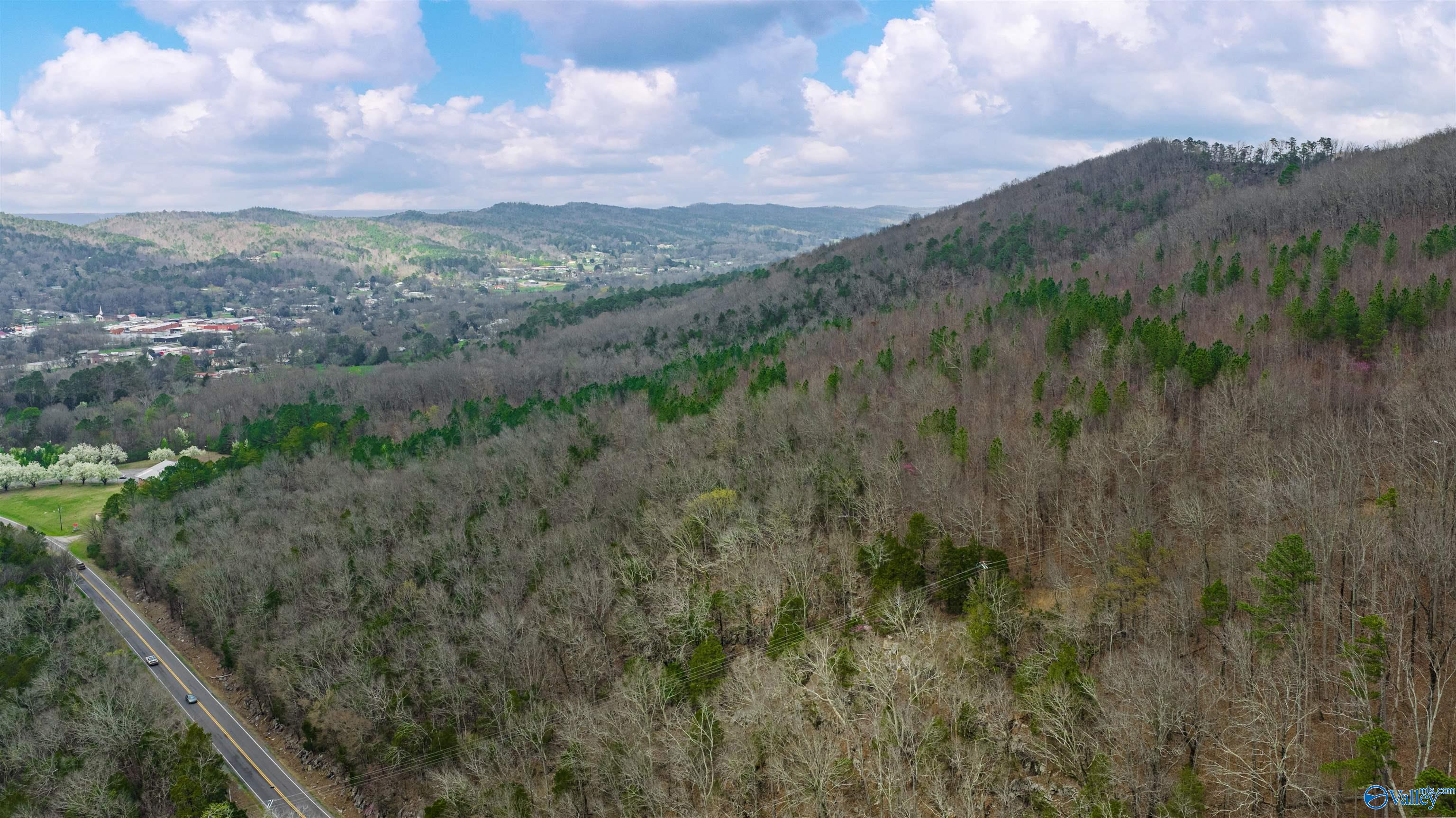 37.2 Acres Highway 68