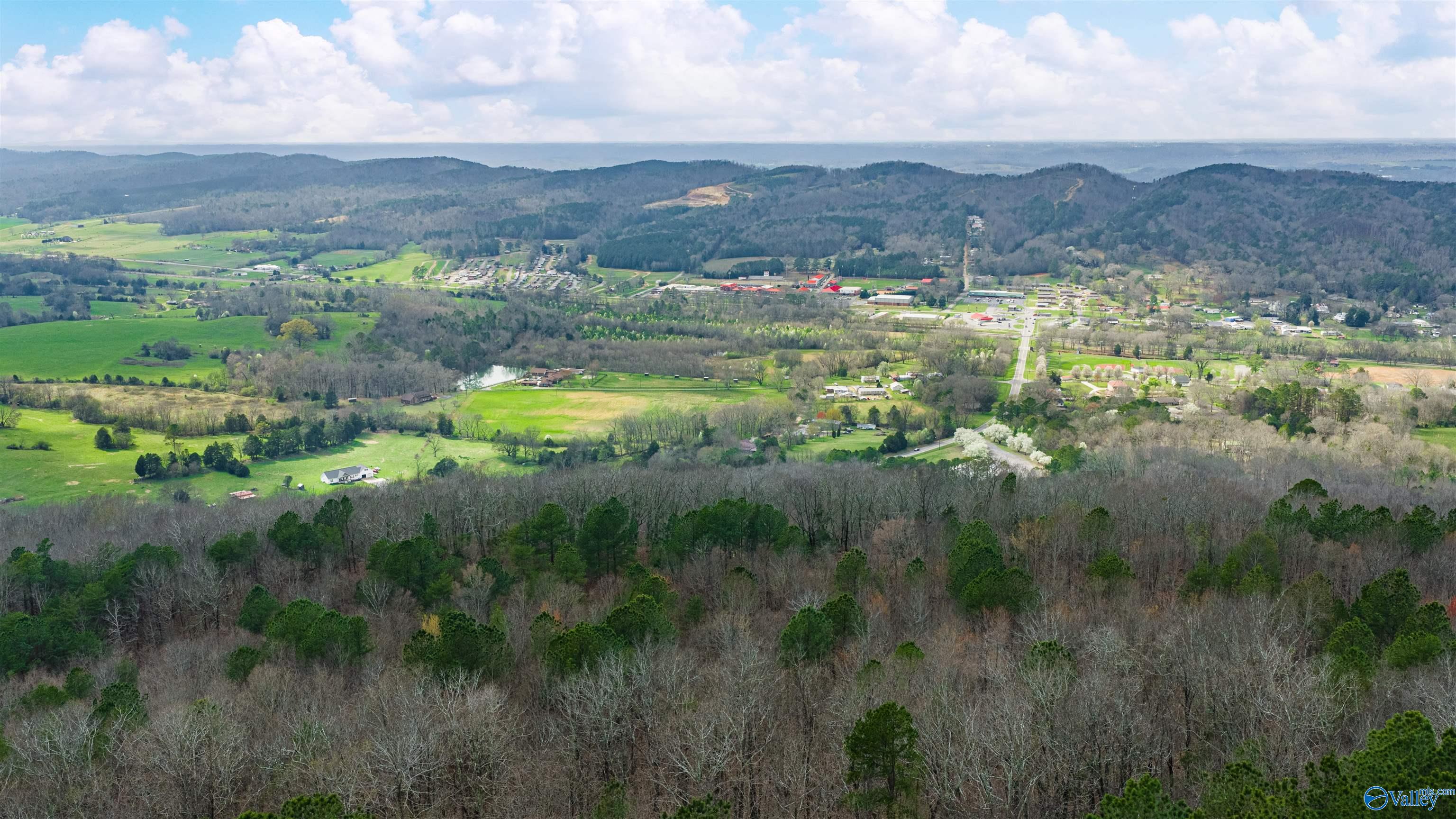 37.2 Acres Highway 68