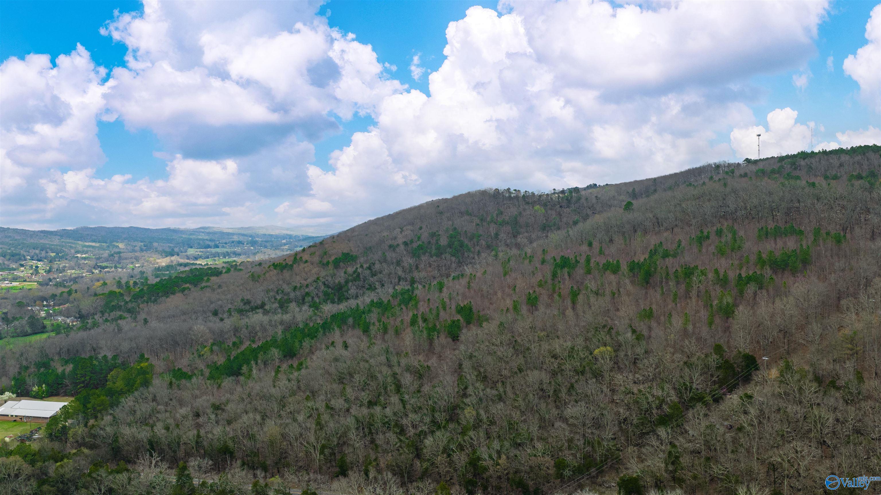 37.2 Acres Highway 68