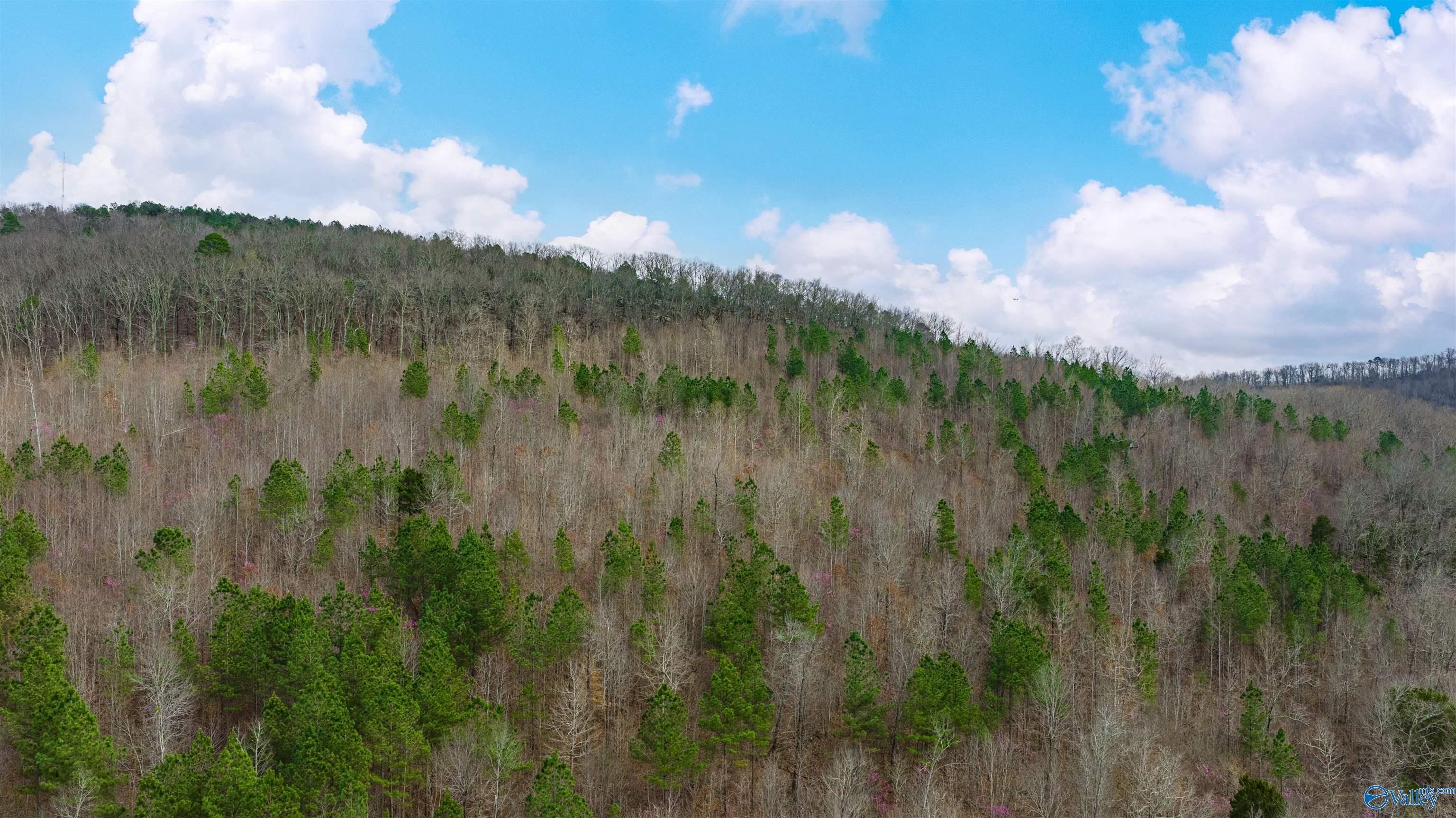 37.2 Acres Highway 68