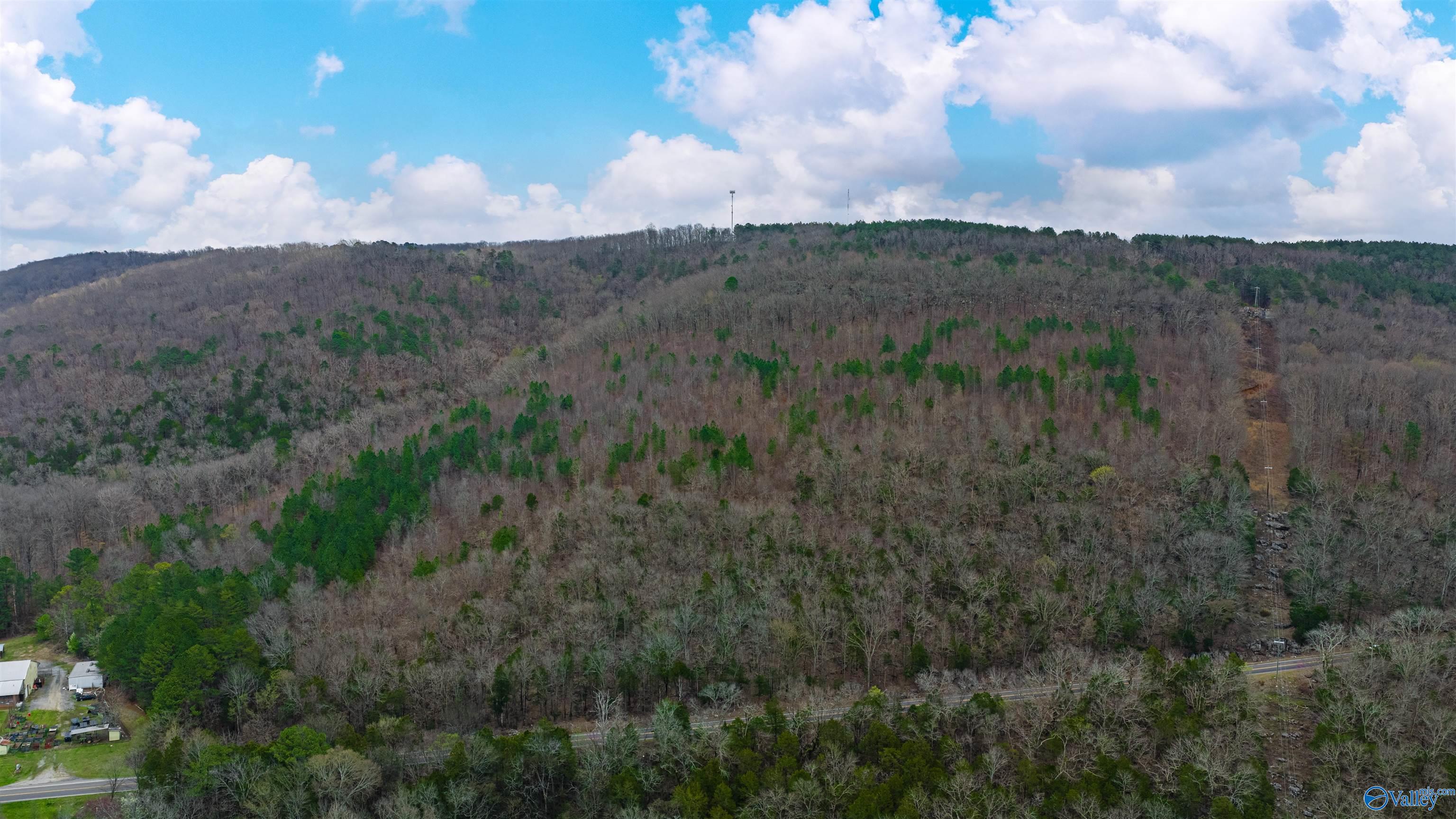 37.2 Acres Highway 68