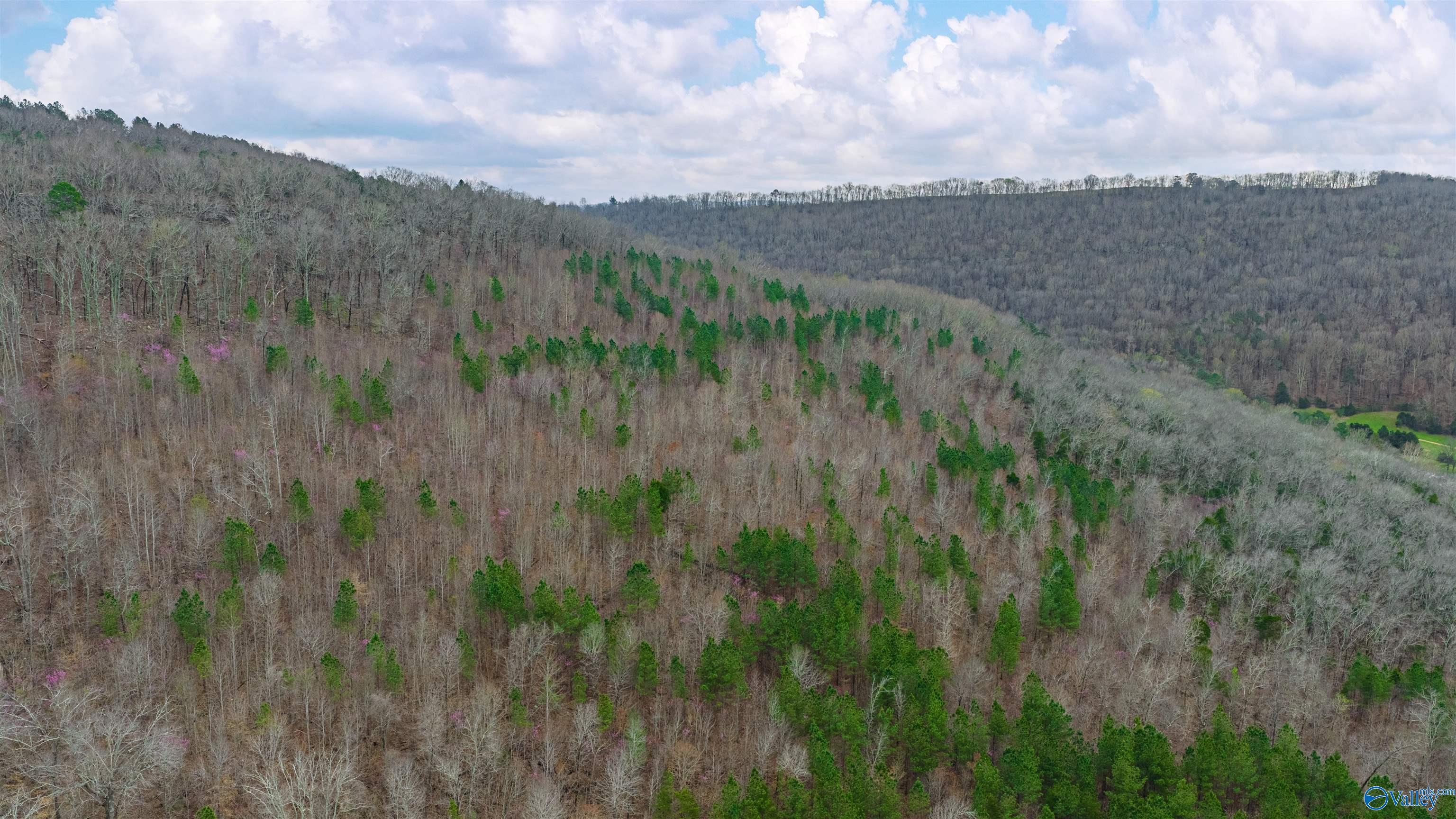 37.2 Acres Highway 68