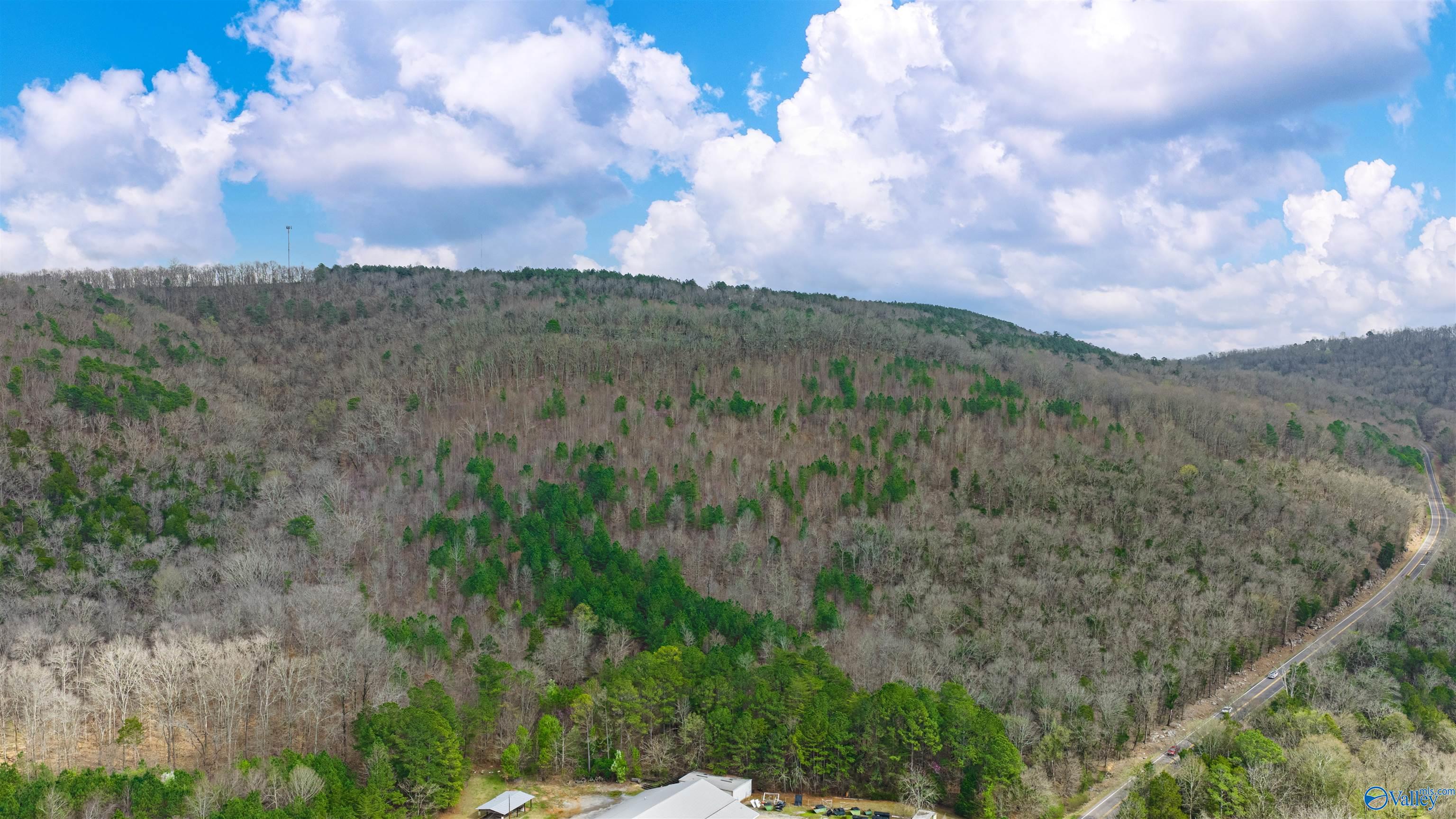 37.2 Acres Highway 68
