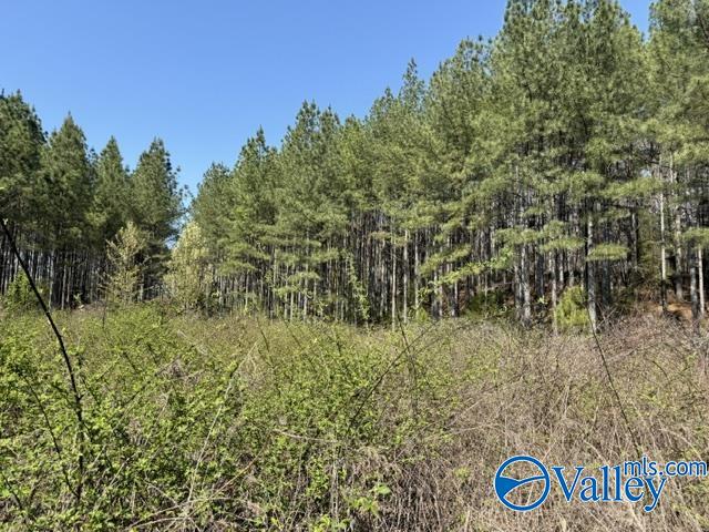 90 County Road 153