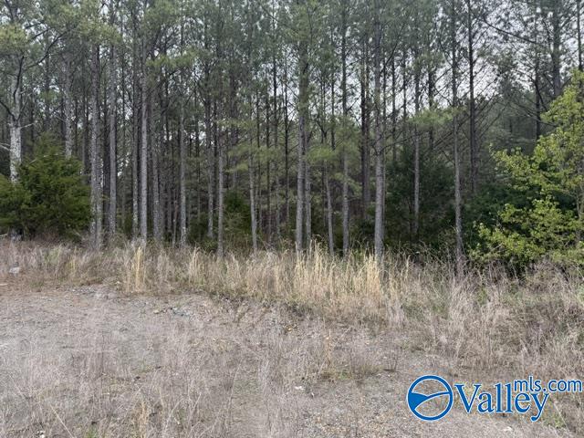 90 County Road 153