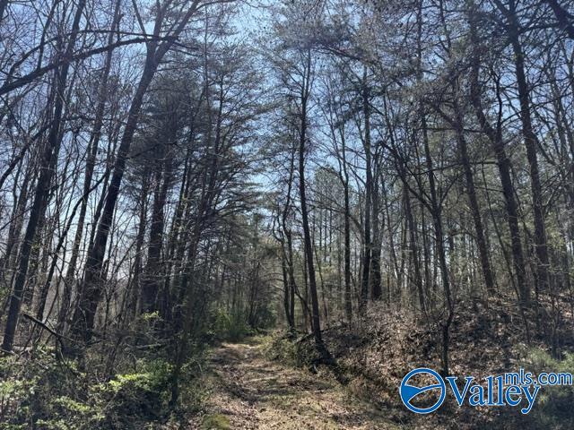 90 County Road 153