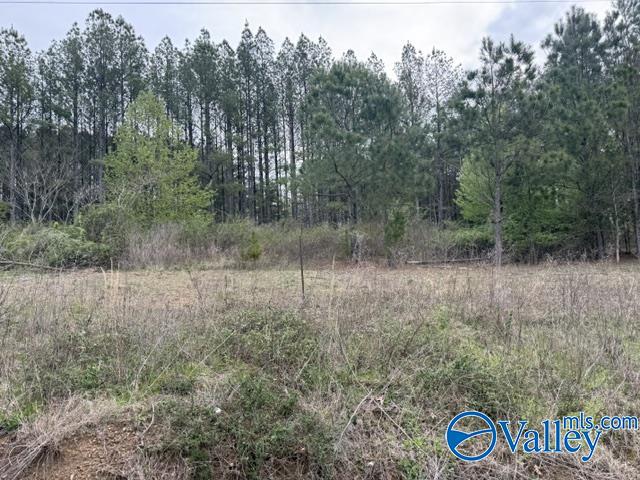 90 County Road 153