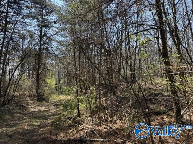 90 County Road 153
