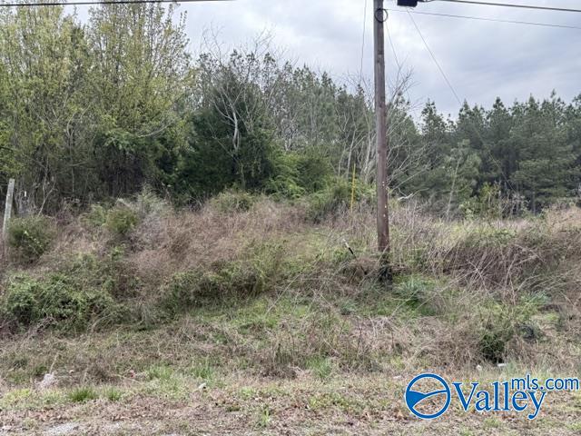 90 County Road 153
